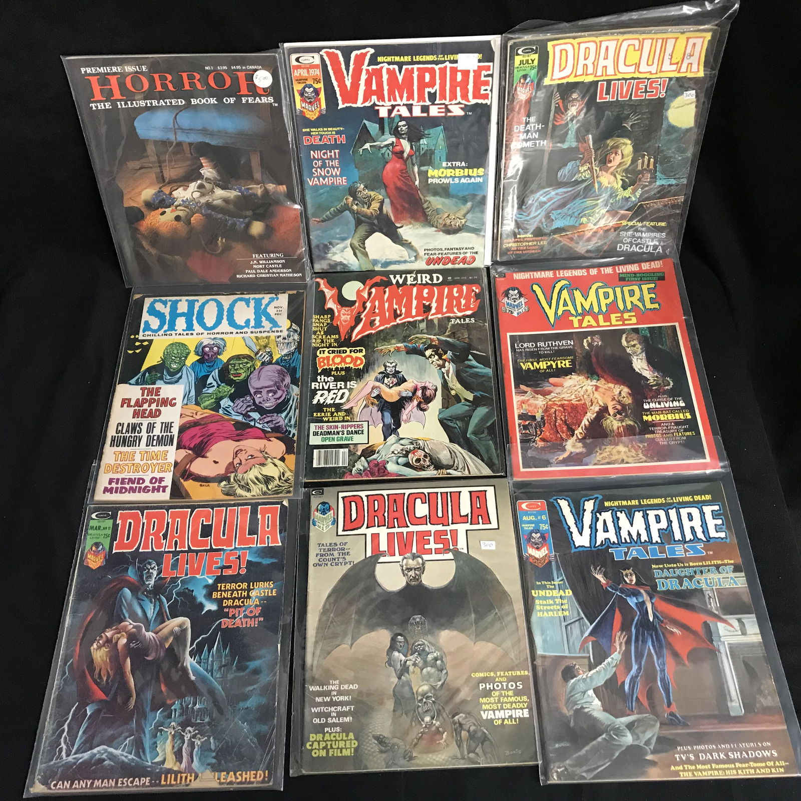 COMIC BOOK LOT (VARIOUS COMICS) (1 of 1)
