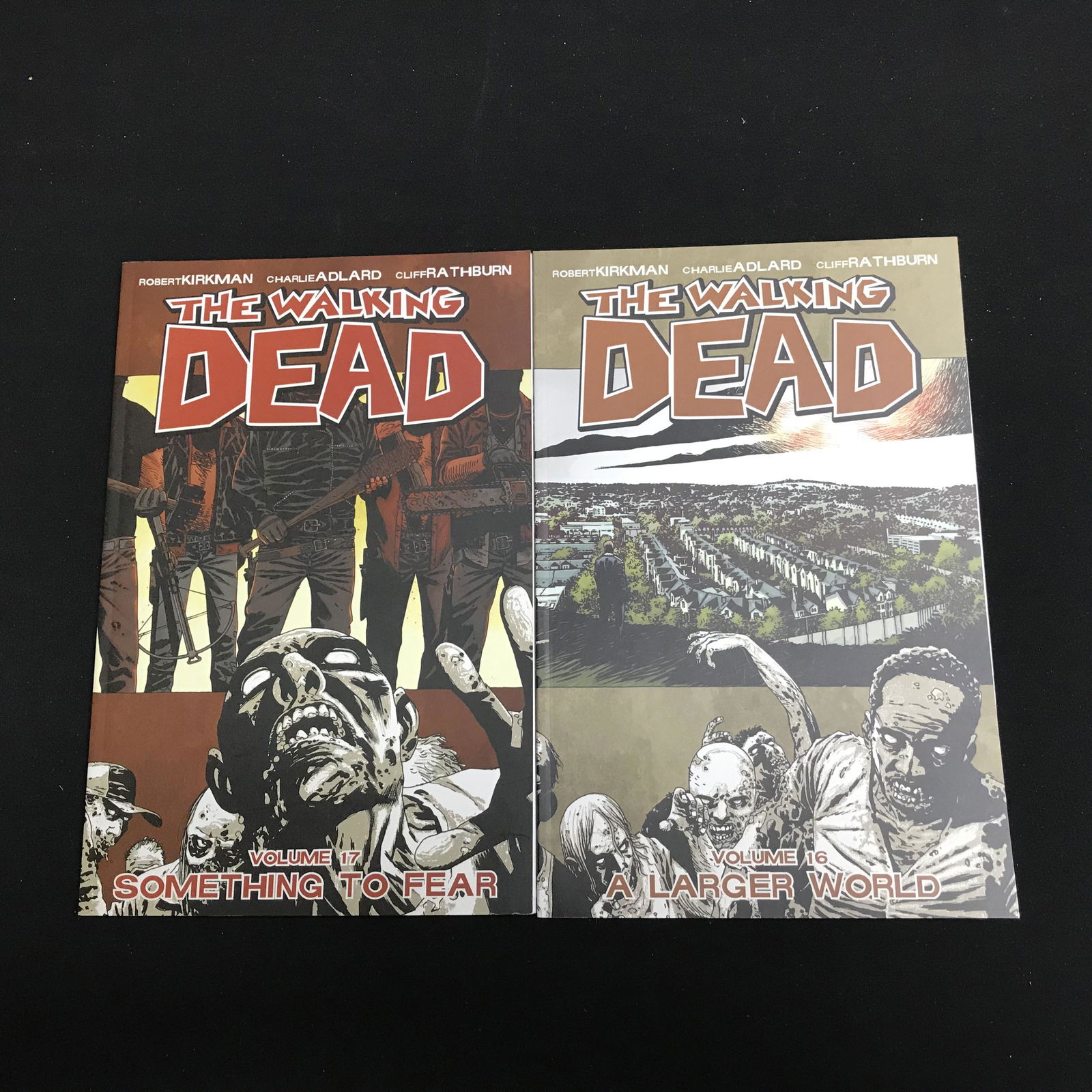 THE WALKING DEAD COMIC BOOK LOT (VOLUME 16/ 17) (1 of 1)
