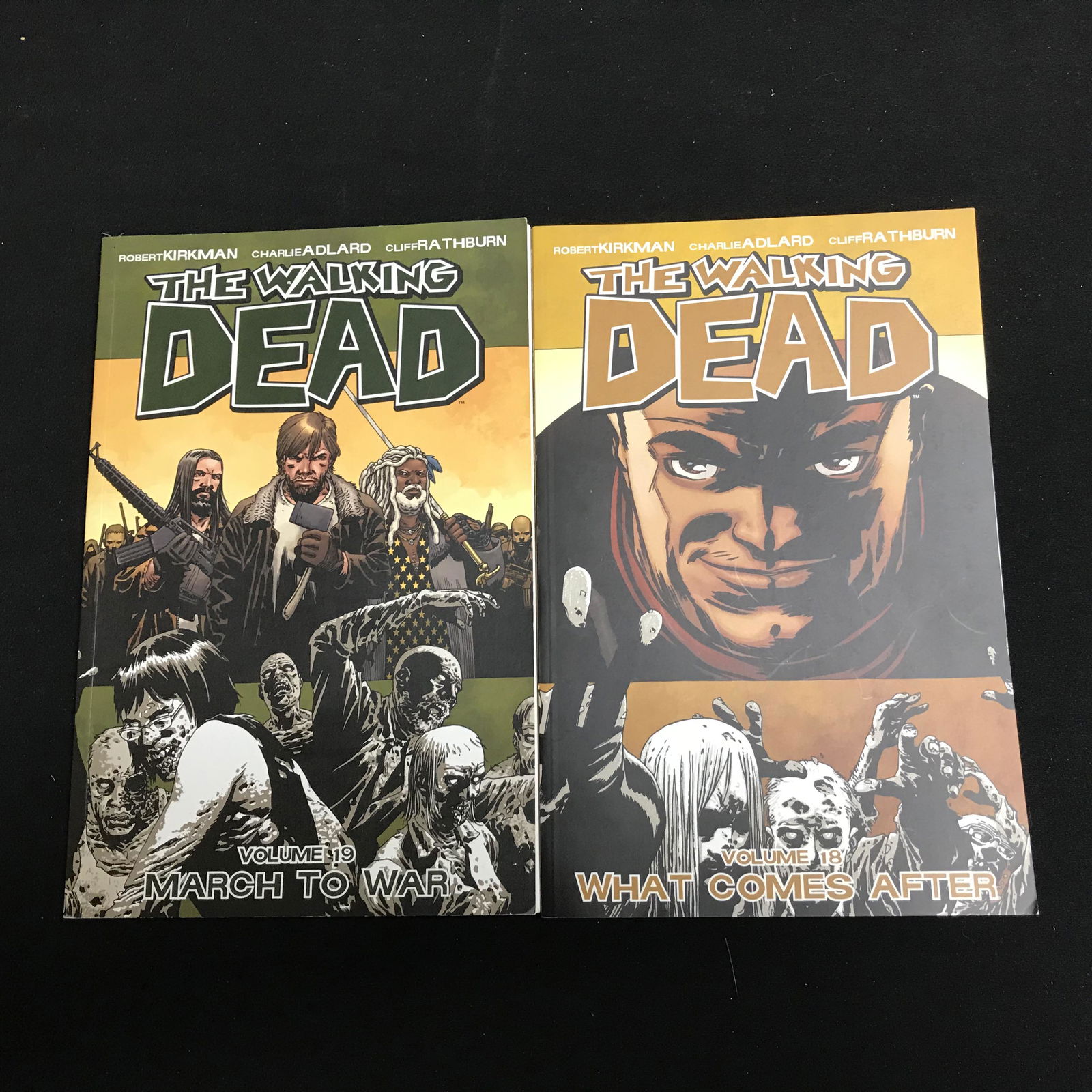 THE WALKING DEAD COMIC BOOK LOT (VOLUME 18/ 19) (1 of 1)