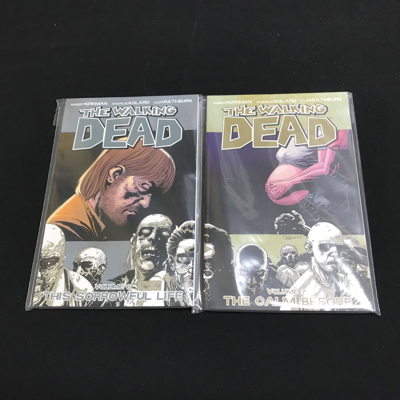 THE WALKING DEAD COMIC BOOK LOT (VOLUME 6/ 7) (1 of 1)