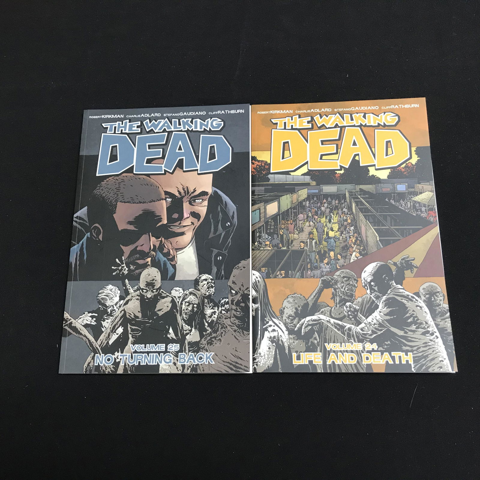 THE WALKING DEAD COMIC BOOK LOT (VOLUME 24/ 25) (1 of 1)
