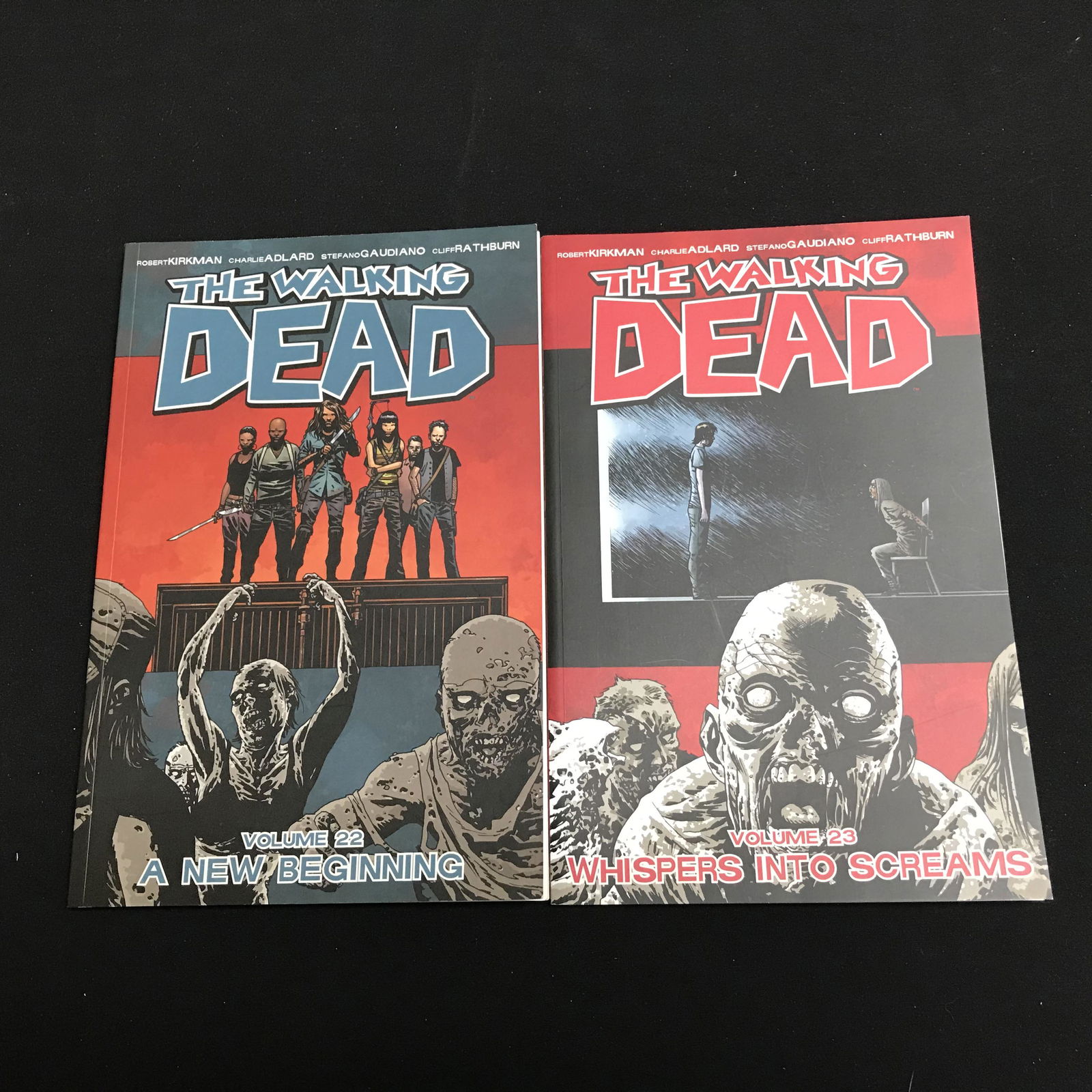 THE WALKING DEAD COMIC BOOK LOT (VOLUME 22/ 23) (1 of 1)