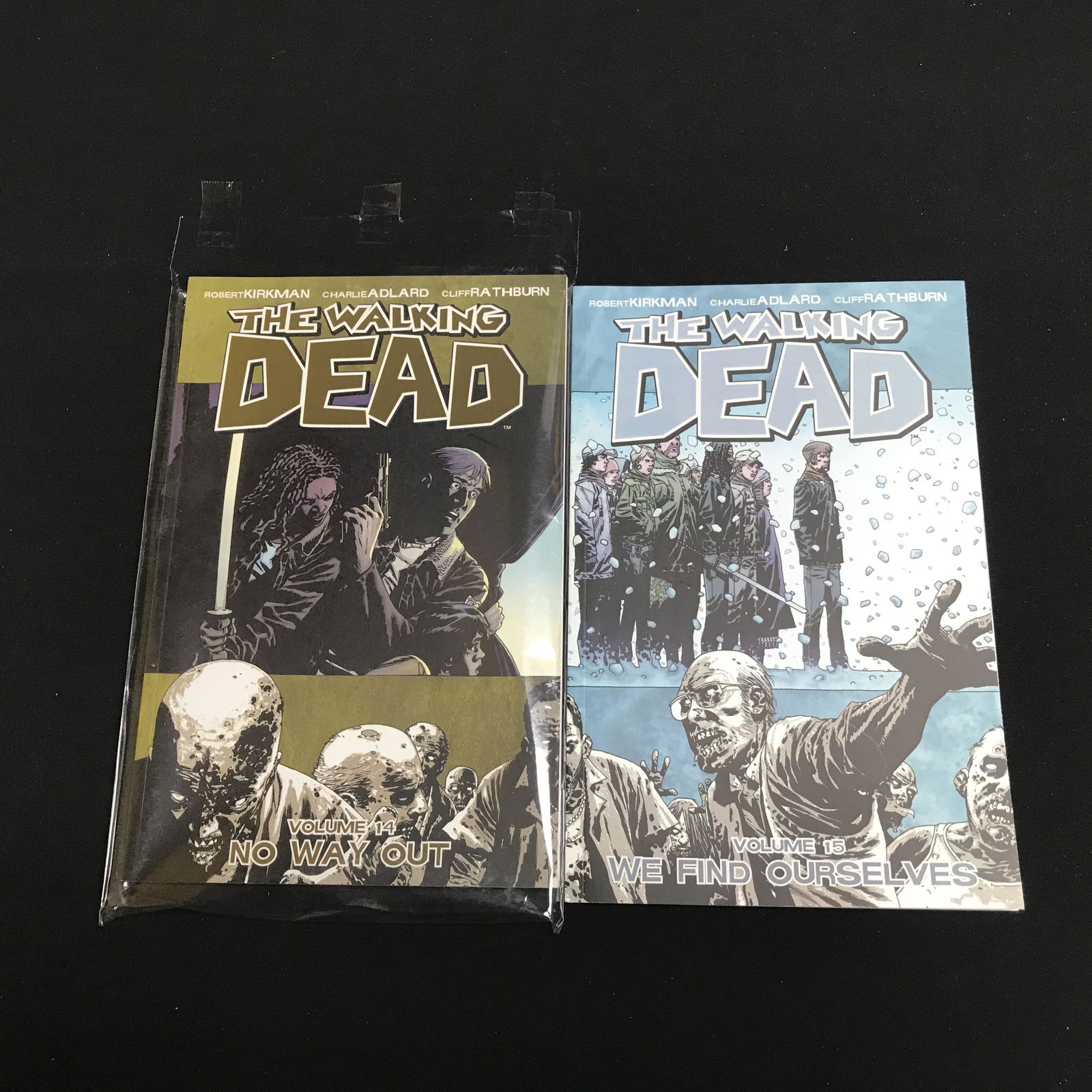 THE WALKING DEAD COMIC BOOK LOT (VOLUME 14/ 15) (1 of 1)
