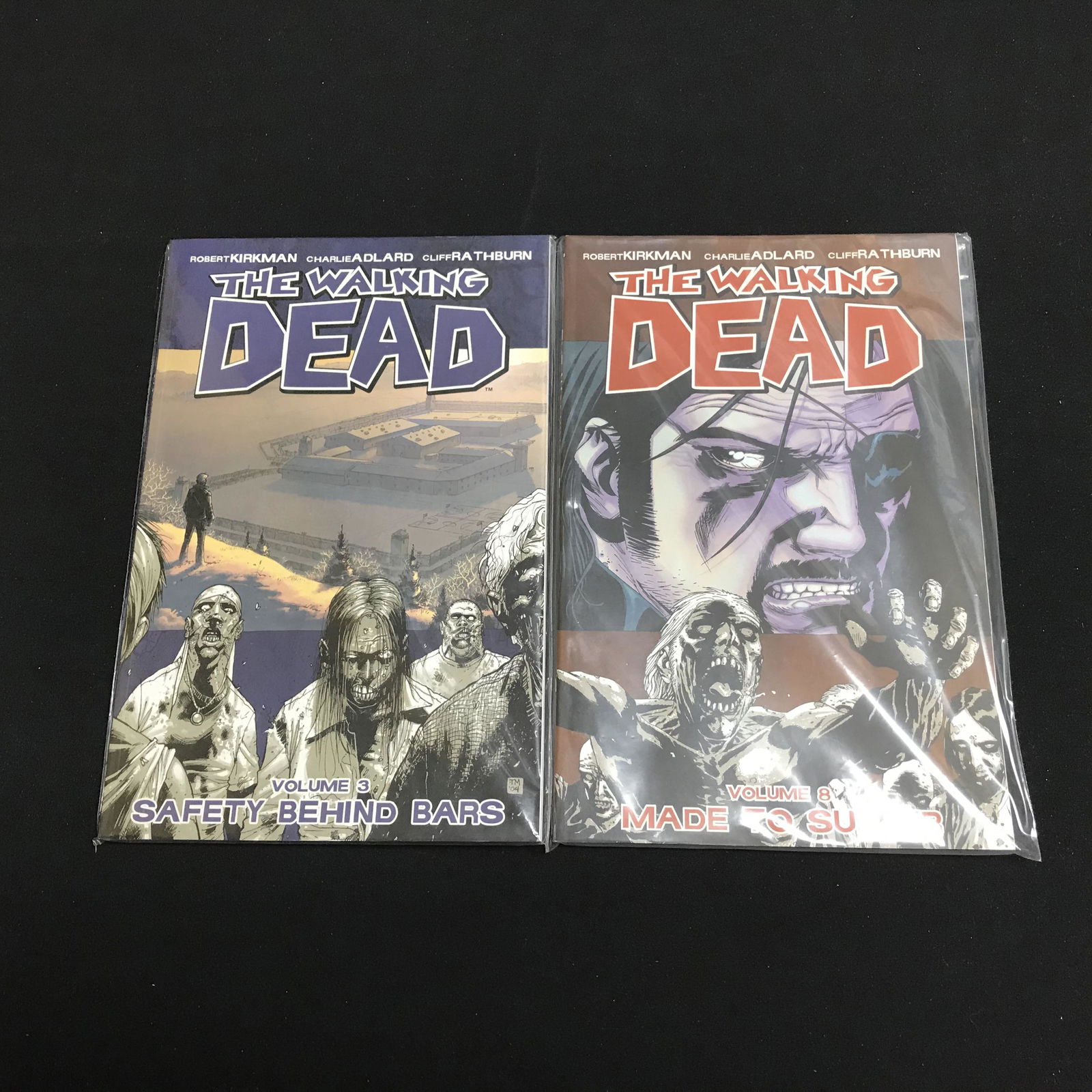THE WALKING DEAD COMIC BOOK LOT (VOLUME 3/ 8) (1 of 1)