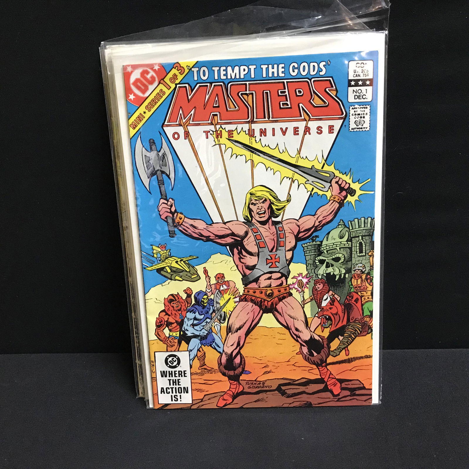 MASTERS OF THE UNIVERSE #1 (DC COMICS) #1 in a Mini (1 of 1)