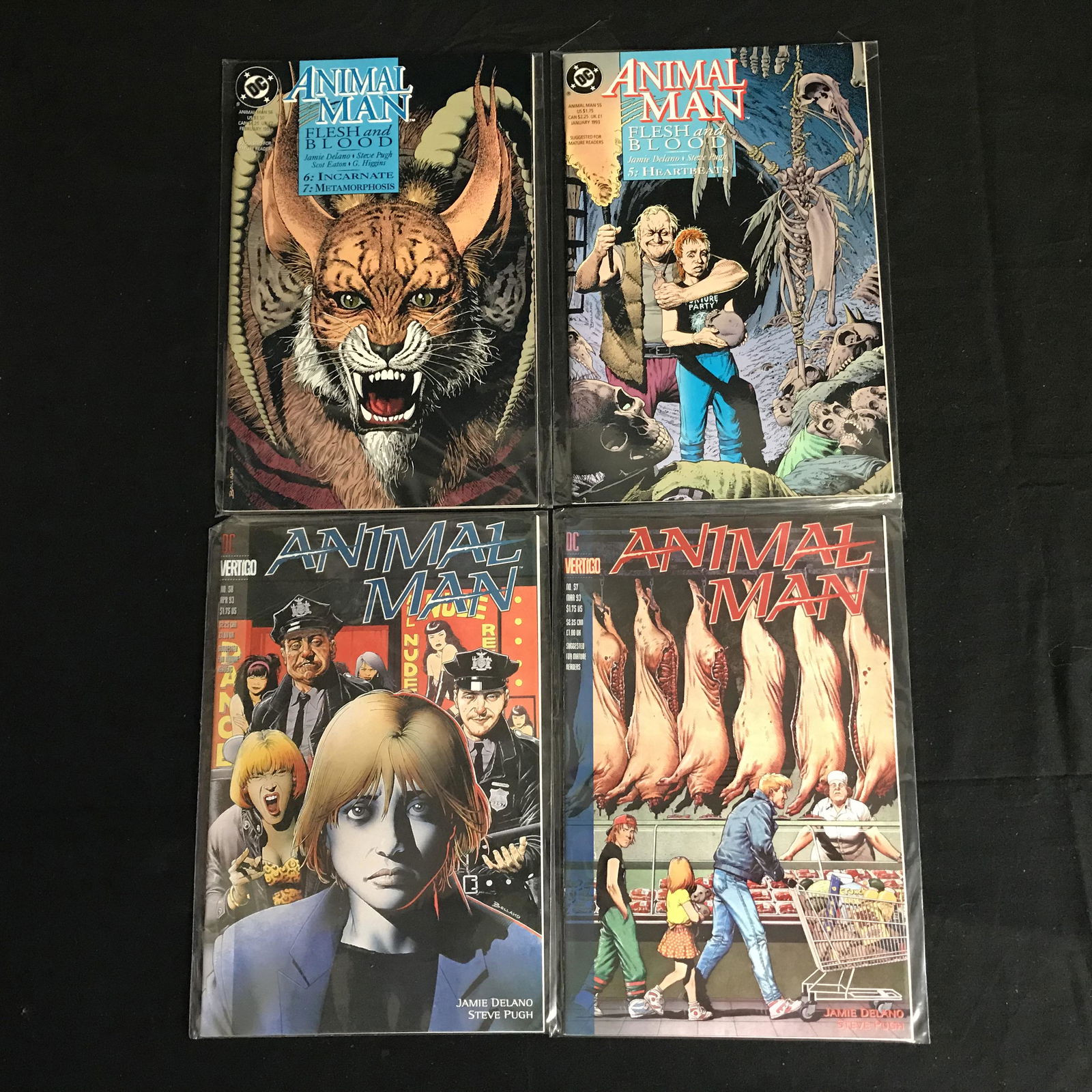 ANIMAL MAN COMIC BOOK LOT (DC/ VERTIGO) (1 of 1)