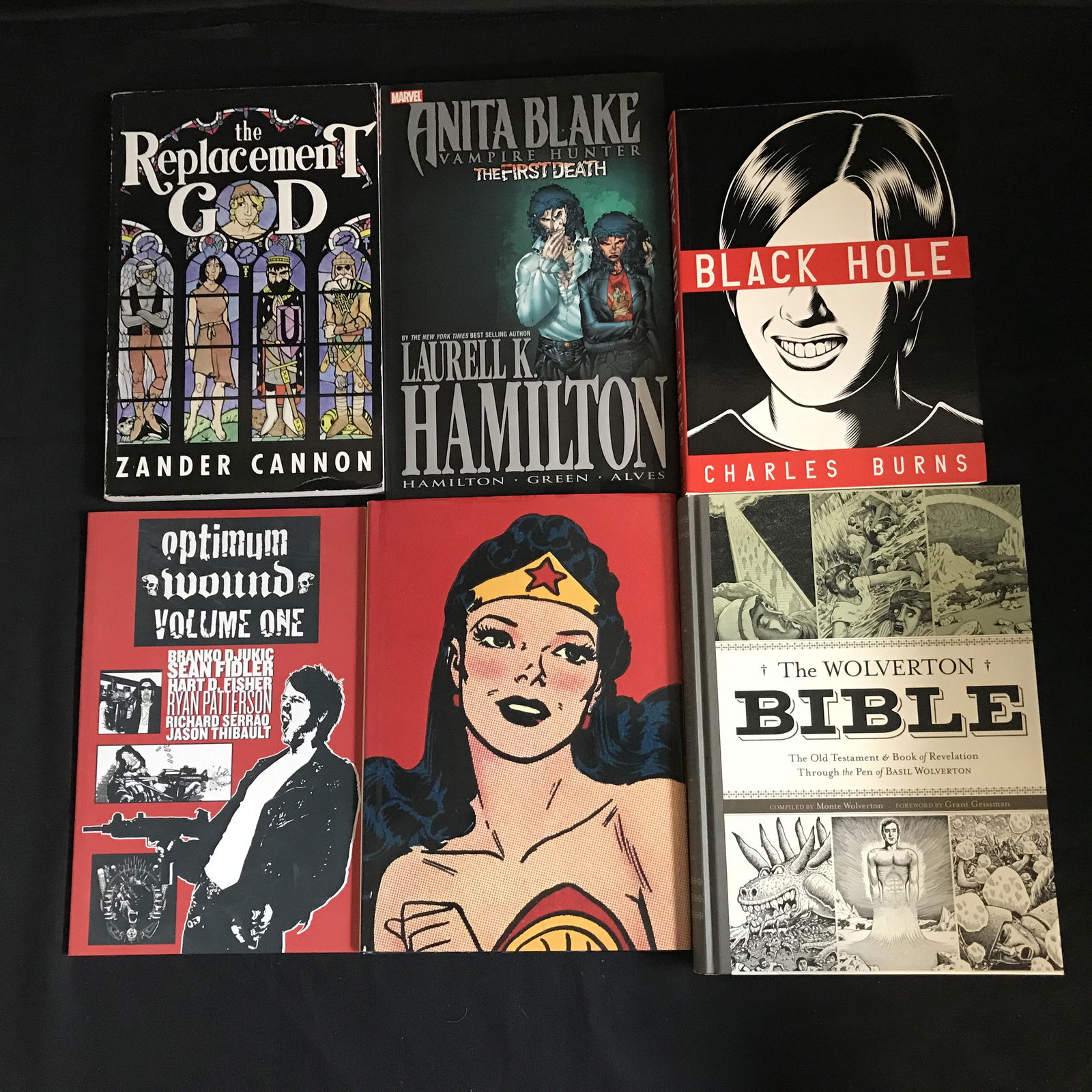 GRAPHIC NOVEL LOT (1 of 1)