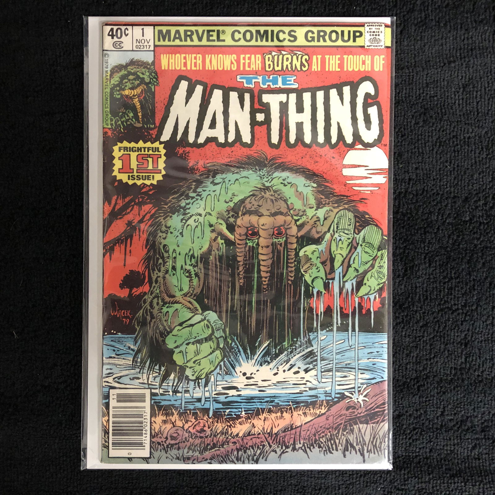 THE MAN-THING #1 (MARVEL COMICS) (1 of 1)