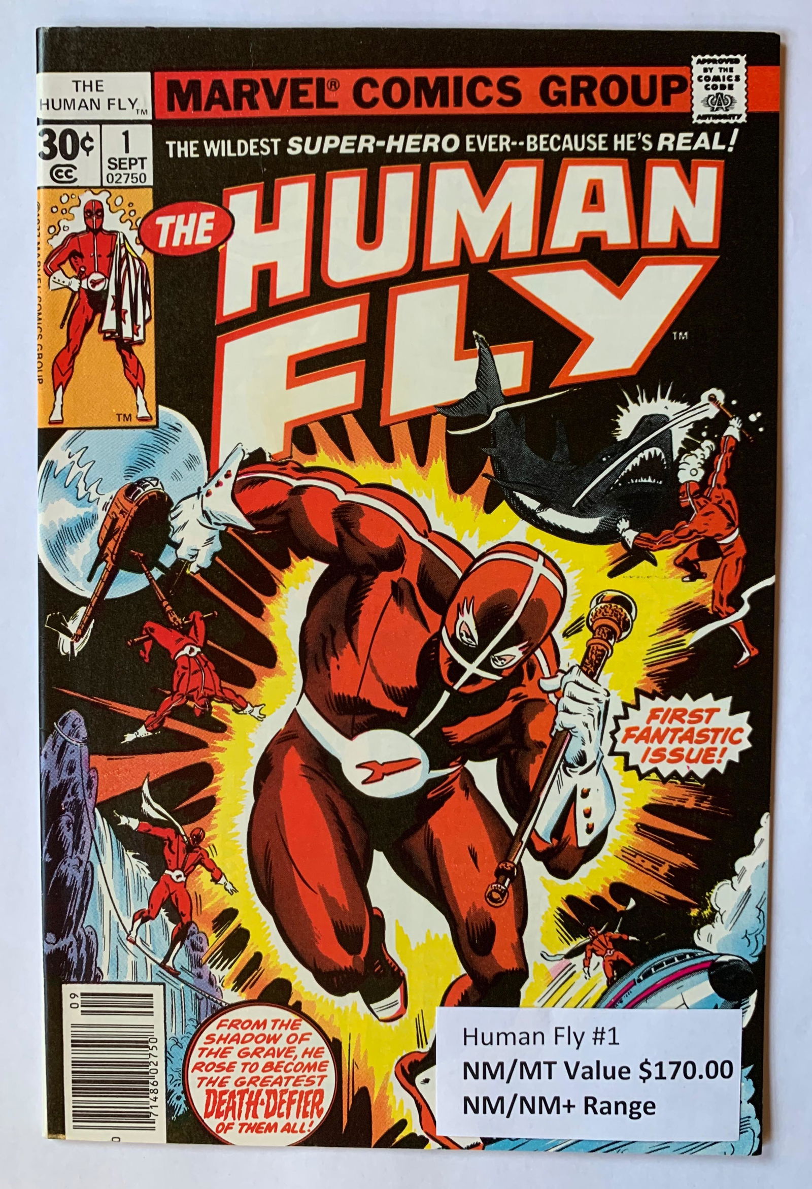 THE HUMAN FLY #1 (MARVEL COMICS) (1 of 1)