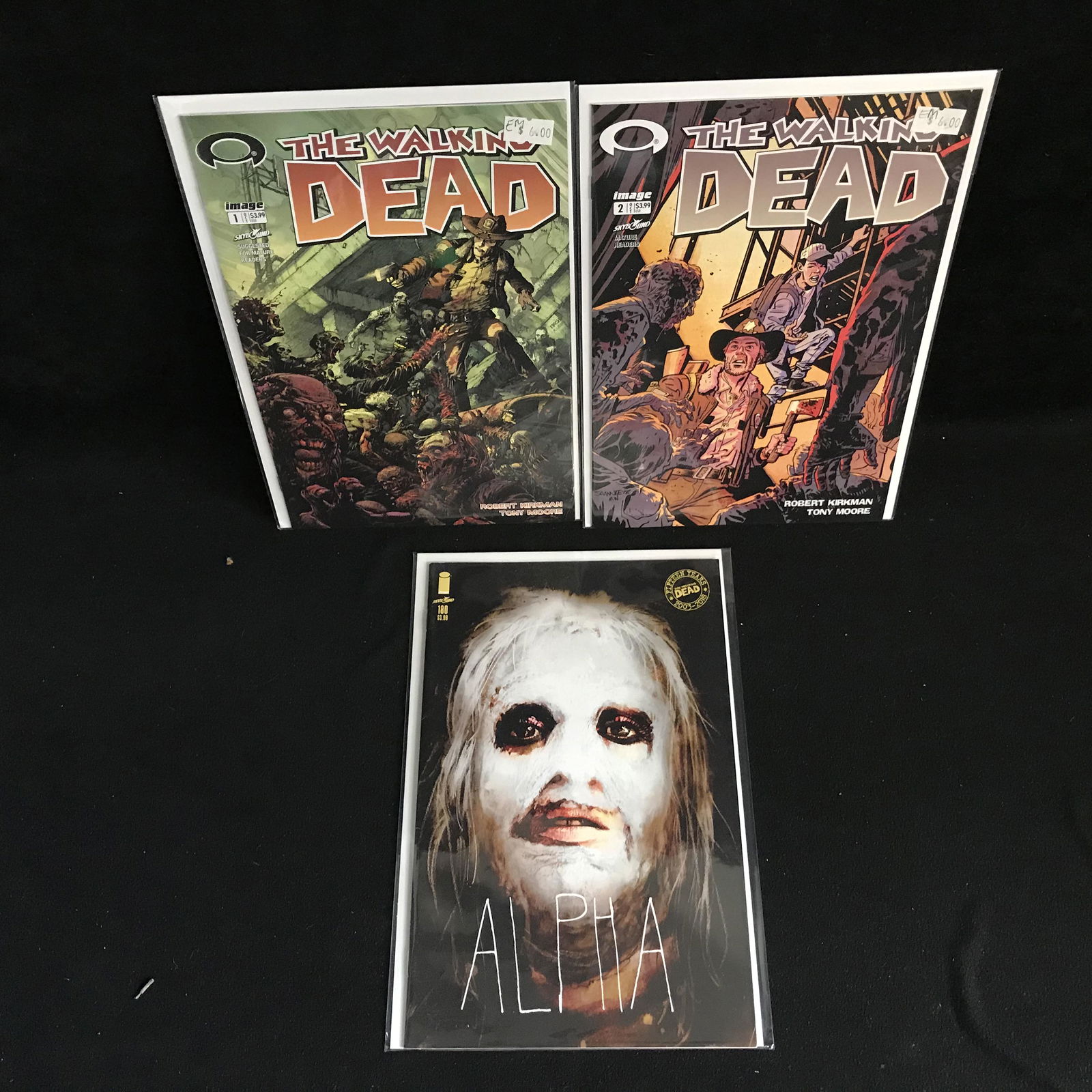THE WALKING DEAD COMIC BOOK LOT (1 of 1)
