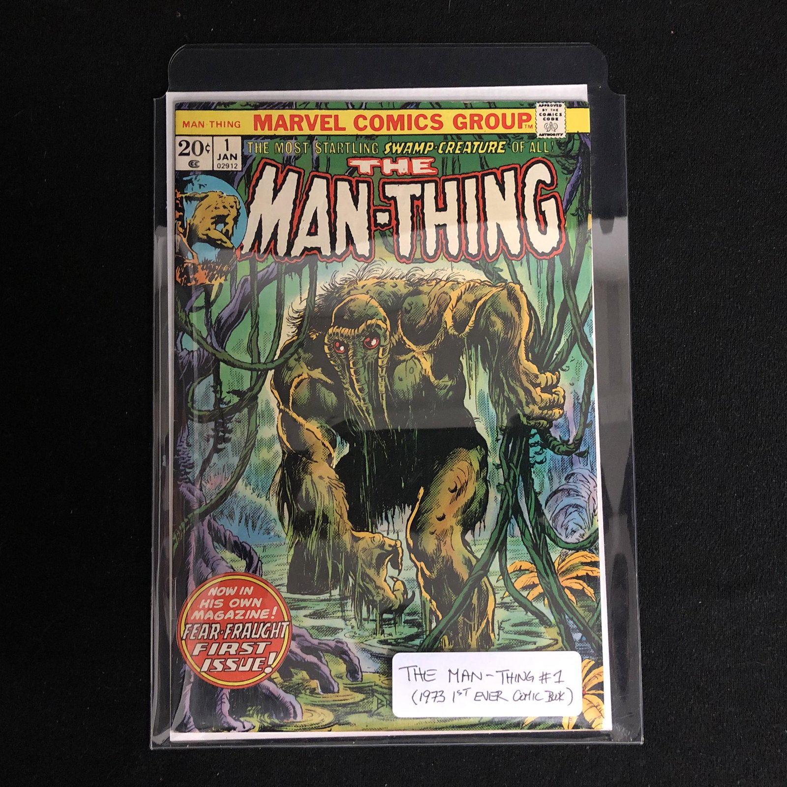 THE MAN-THING #1 (1973 1ST EVER COMIC BOOK) MARVEL (1 of 1)