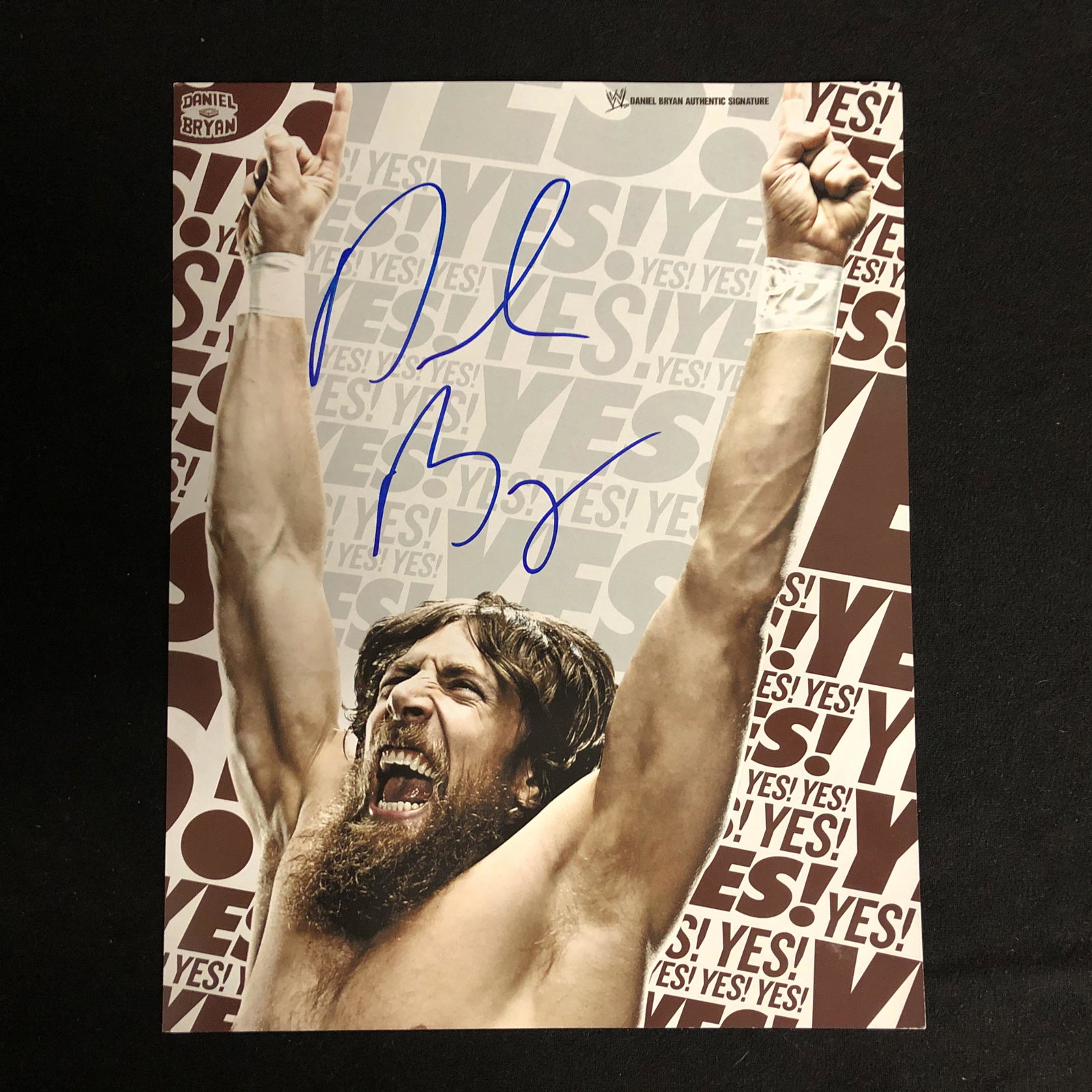 DANIEL BRYAN SIGNED PHOTO (1 of 1)