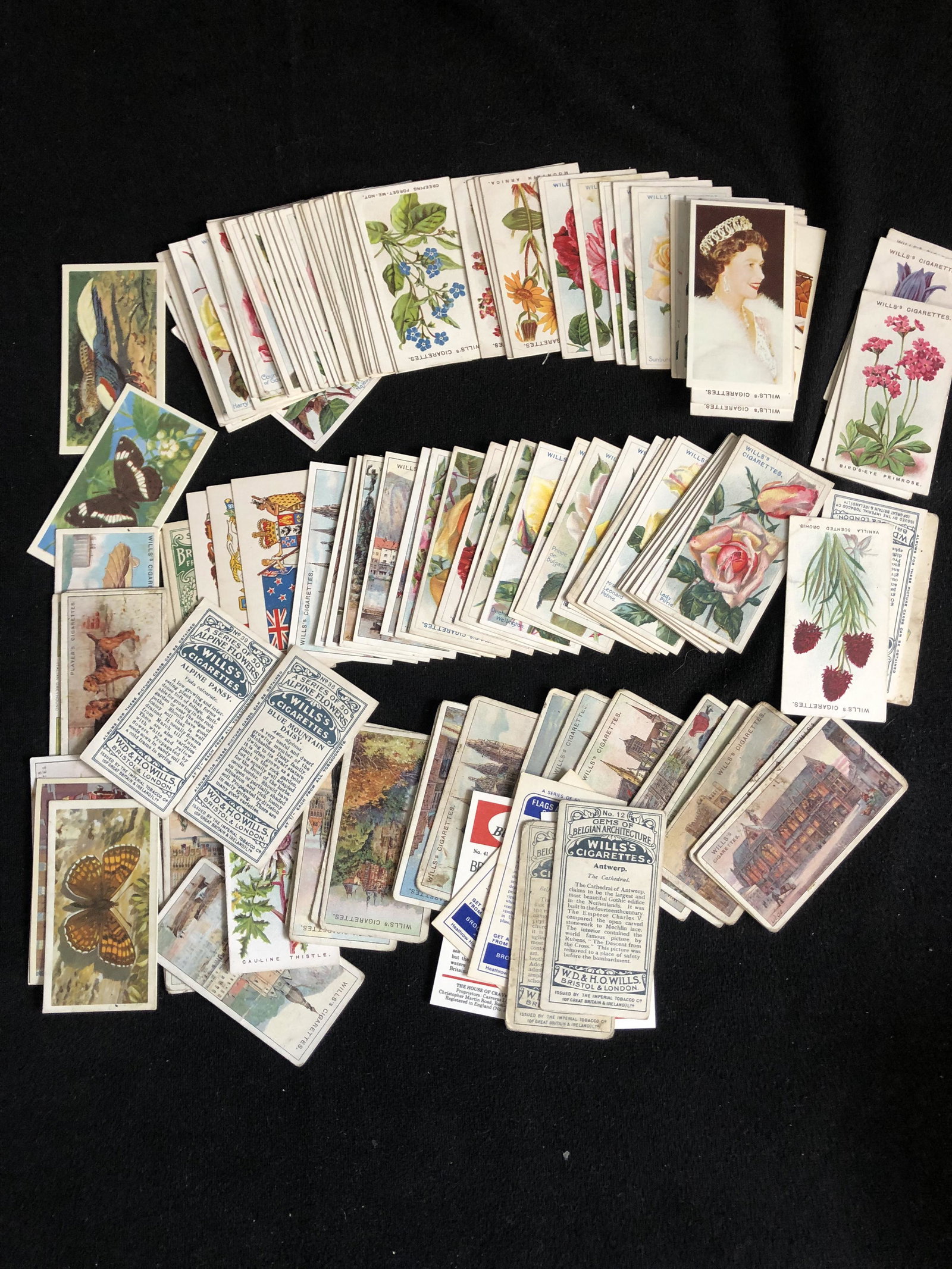 VINTAGE WILLS'S CIGARETTE CARDS LOT (1 of 1)