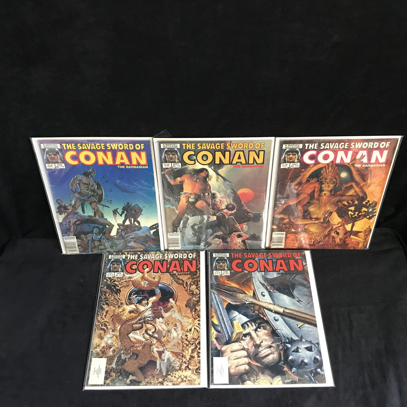 CONAN THE BARBARIAN COMIC BOOK LOT (MARVEL COMICS) (1 of 1)