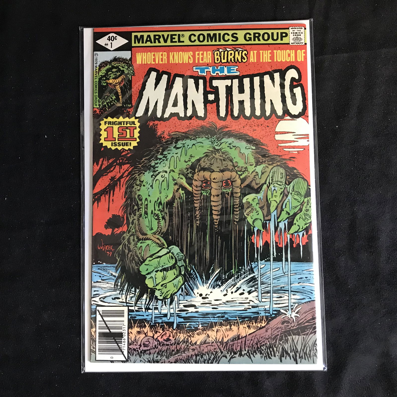 THE MAN-THING #1 (MARVEL COMICS) (1 of 1)