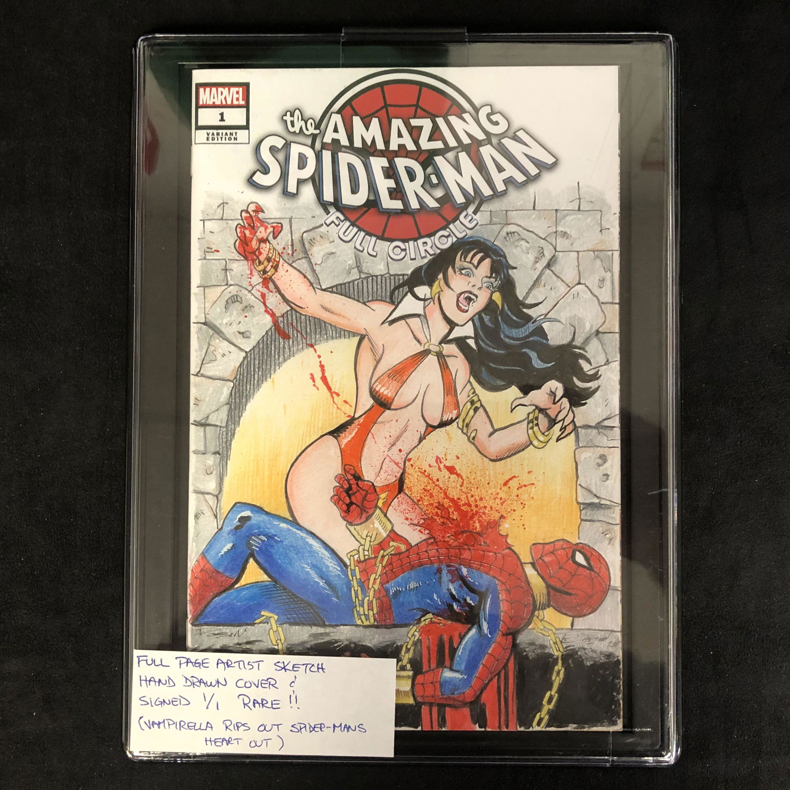 THE AMAZING SPIDER-MAN: FULL CIRCLE  #1 (MARVEL COMICS) (1 of 1)