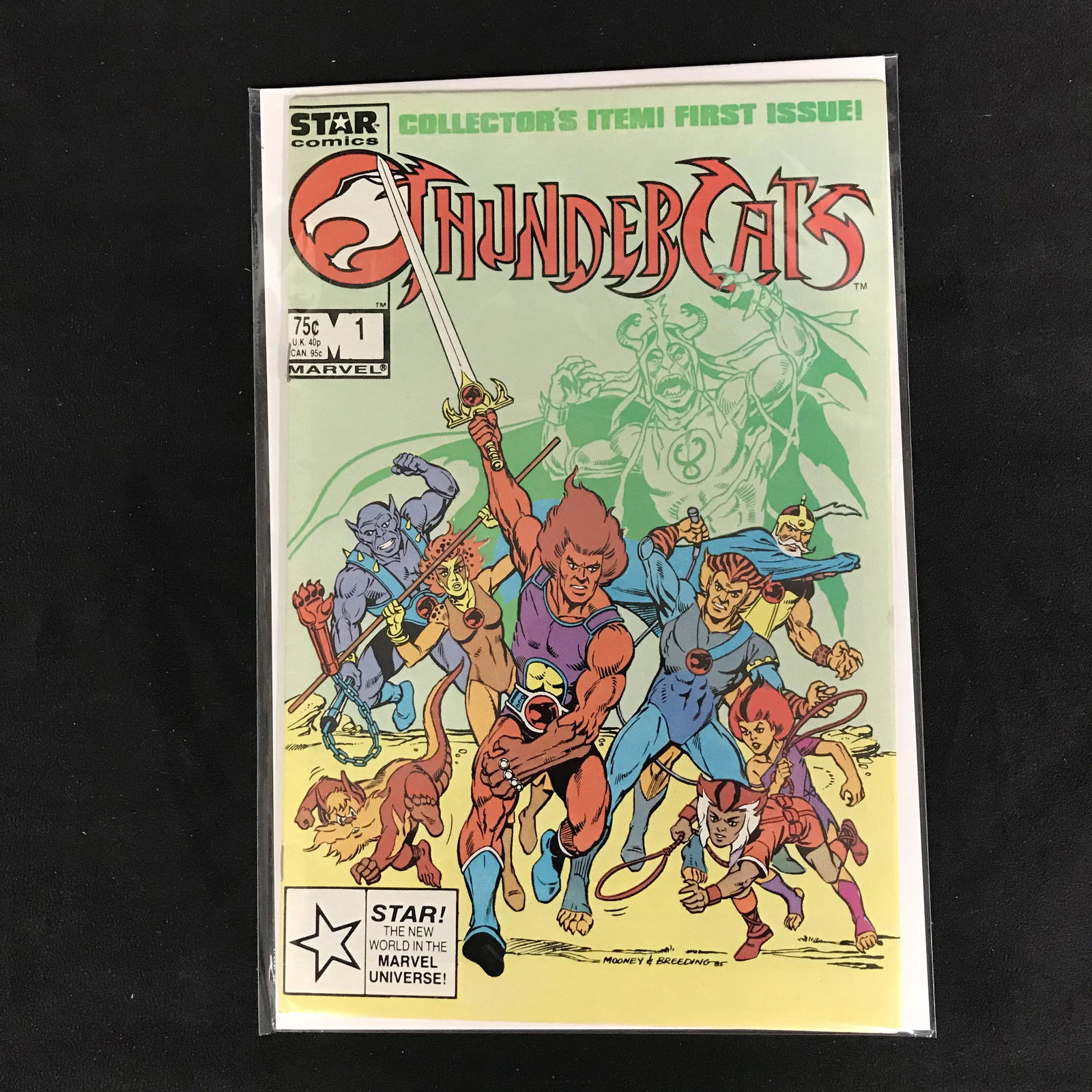 THUNDERCATS #1 (STAR COMICS) (1 of 1)