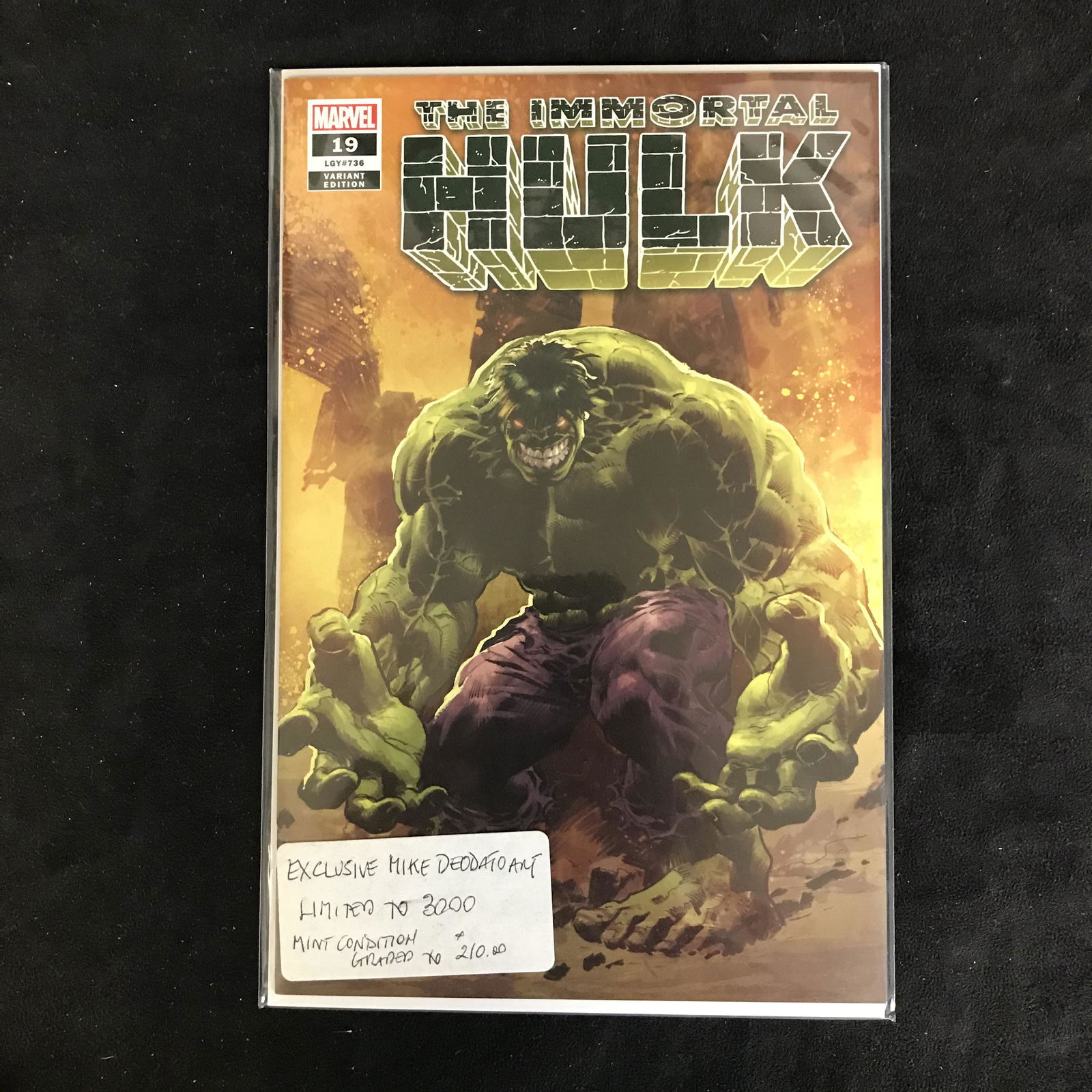 THE IMMORTAL HULK #19 (MARVEL VARIANT) (1 of 1)