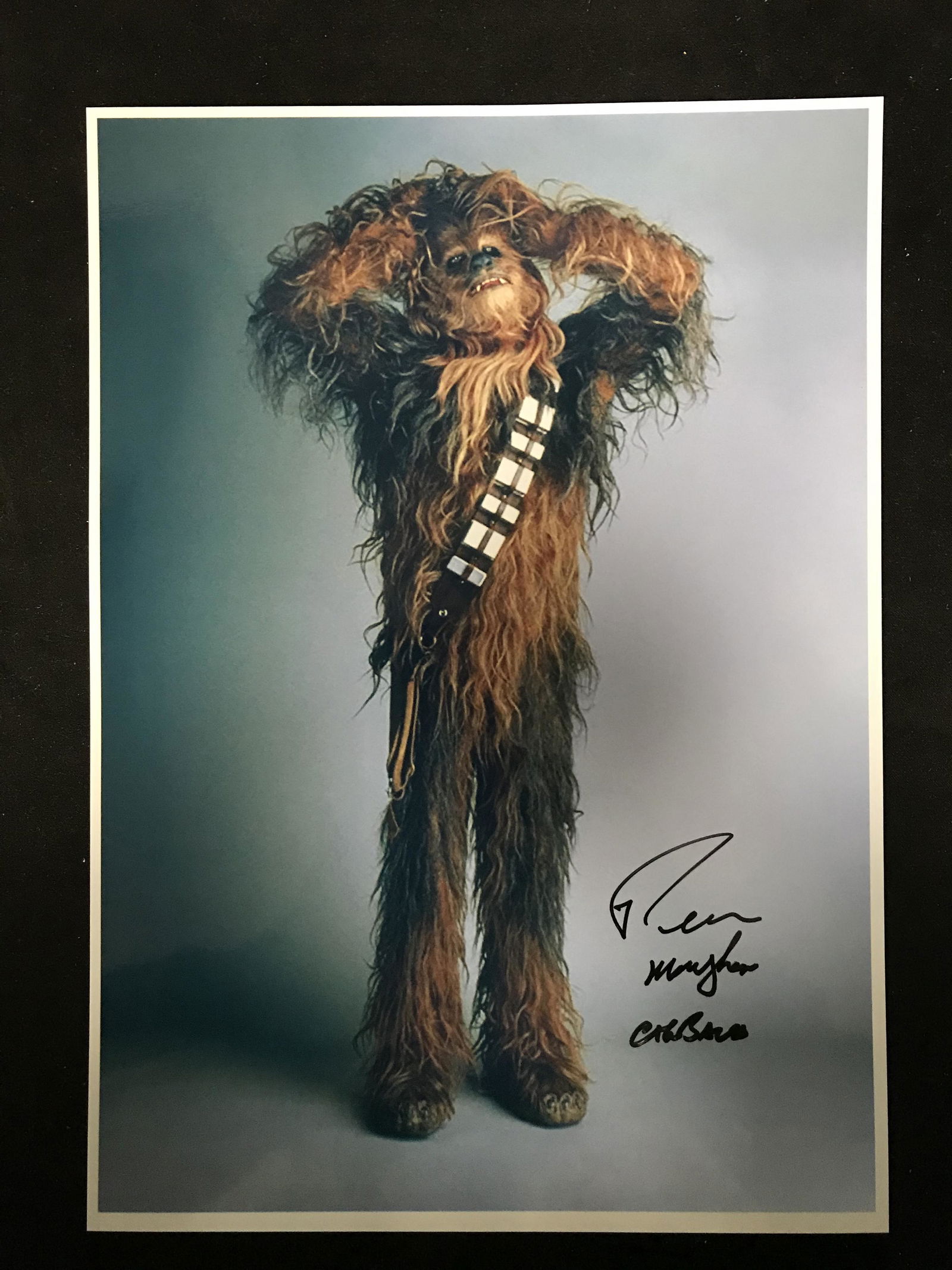 PETER MAYHEW SIGNED "CHEWBACCA" PHOTO (REAL AUTHENTIC C (1 of 3)