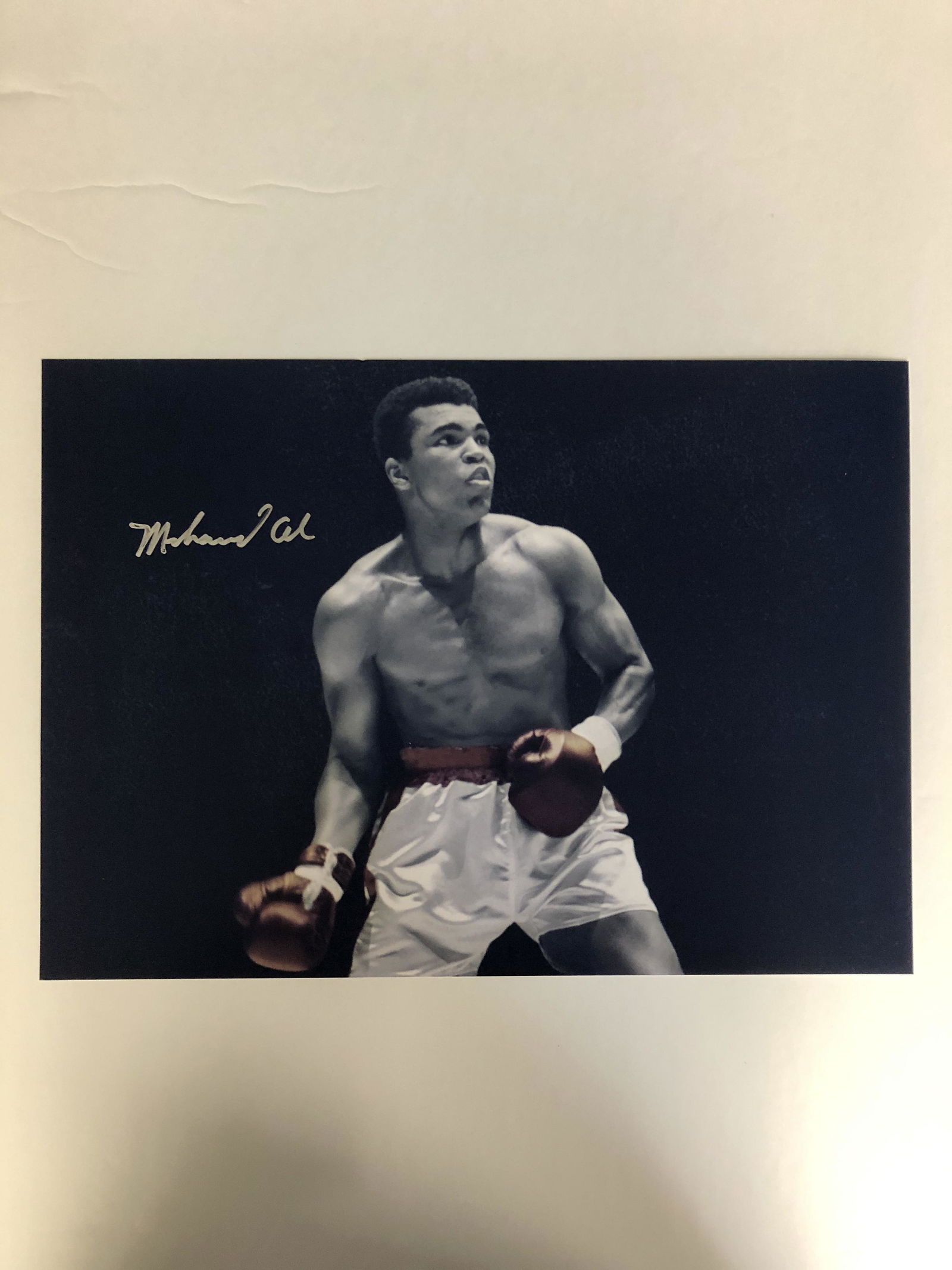MUHAMMAD ALI SIGNED 8X10 PHOTO (REAL AUTHENTIC COA) (1 of 3)