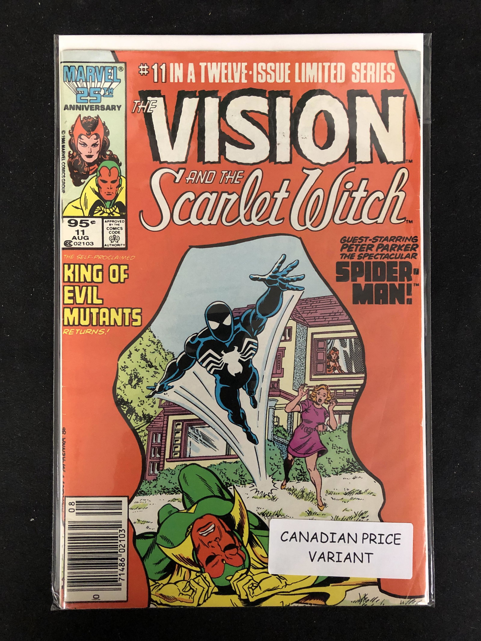 THE VISION AND THE SCARLETT WITCH #11 (MARVEL COMICS): THE VISION AND THE SCARLETT WITCH #11 (MARVEL COMICS)