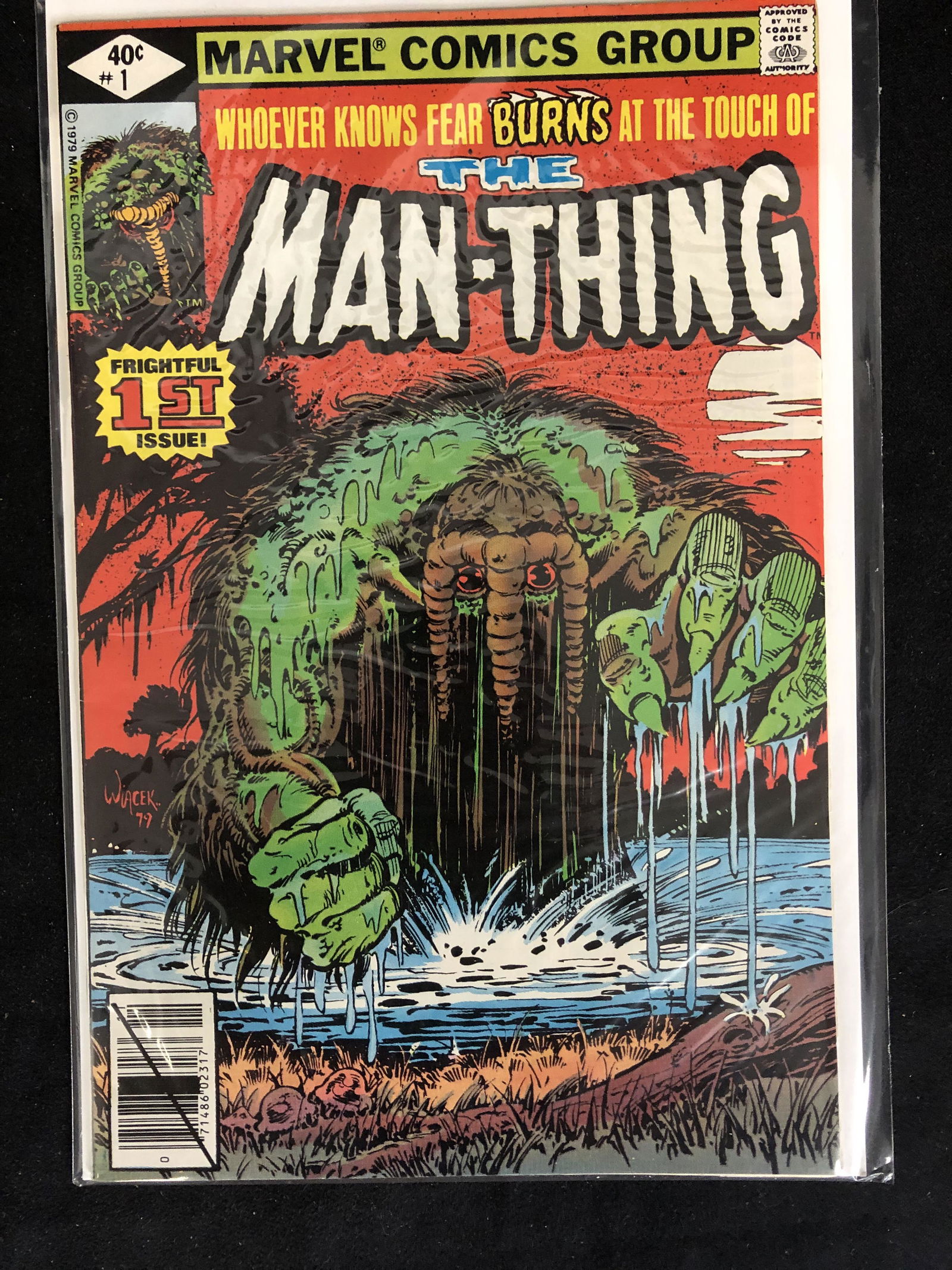 THE MAN-THING #1 (MARVEL COMICS) (1 of 1)