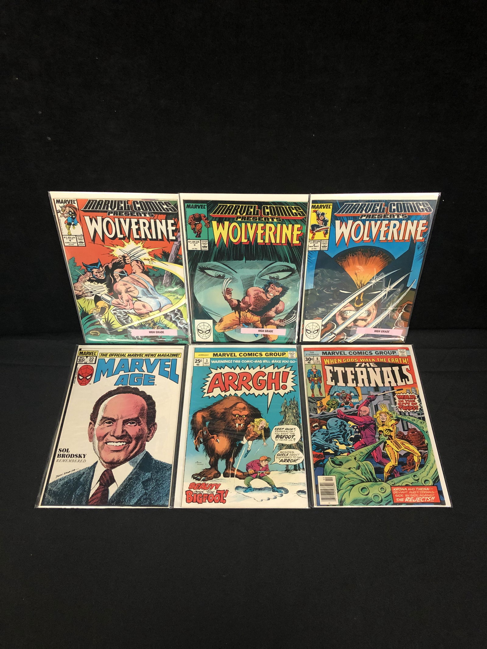 MARVEL COMICS BOOK LOT (WOLVERINE...) (1 of 1)