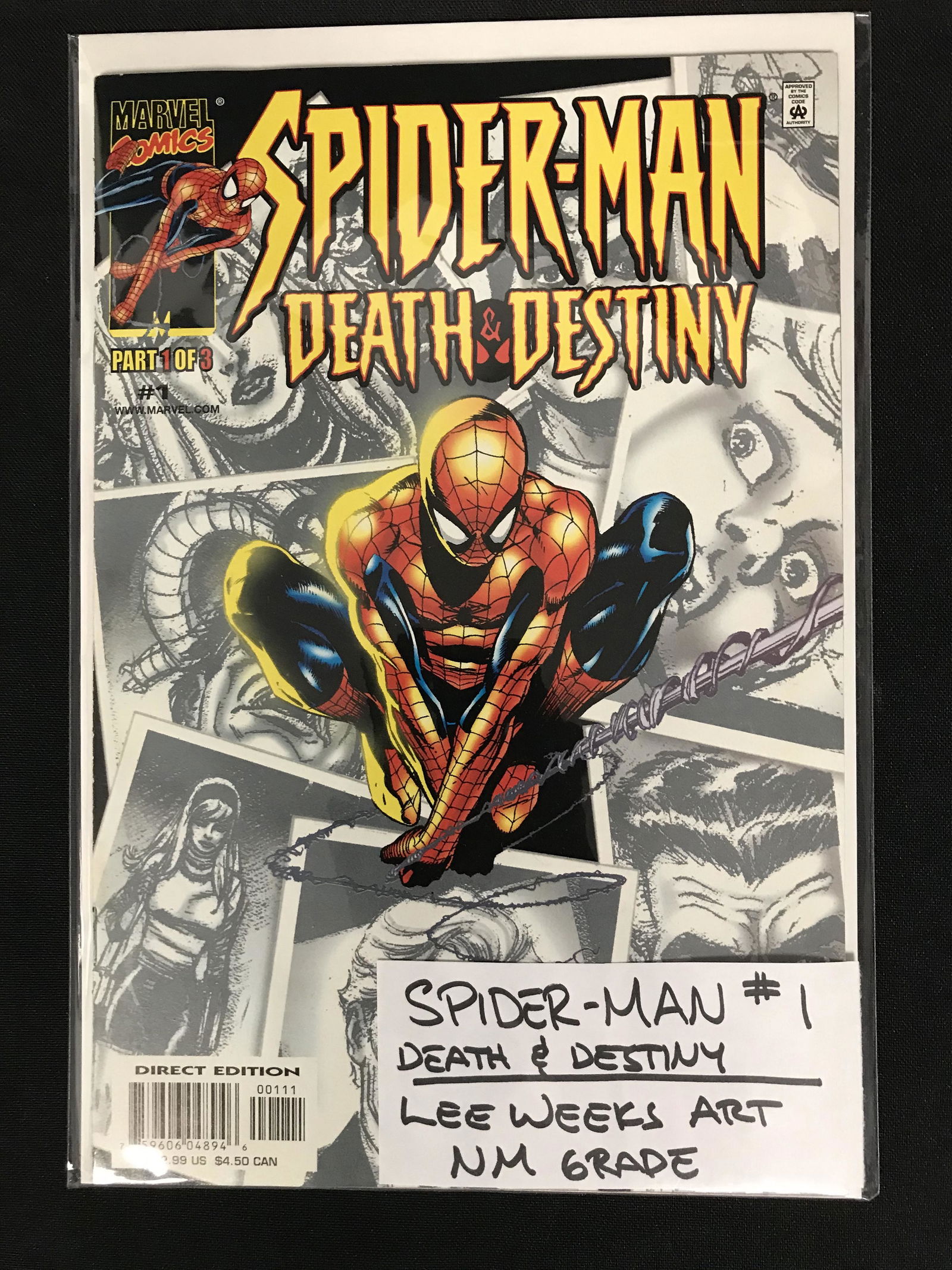 SPIDER-MAN #1 Death & Destiny (MARVEL COMICS) (1 of 1)