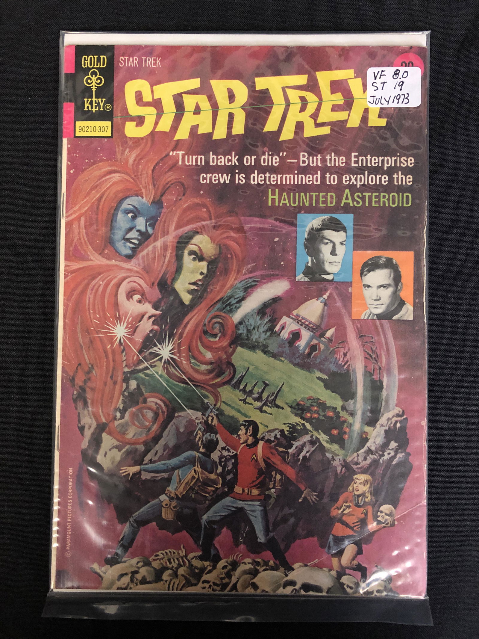 STAR TREK #19 (GOLD KEY COMICS) 1973 (1 of 1)