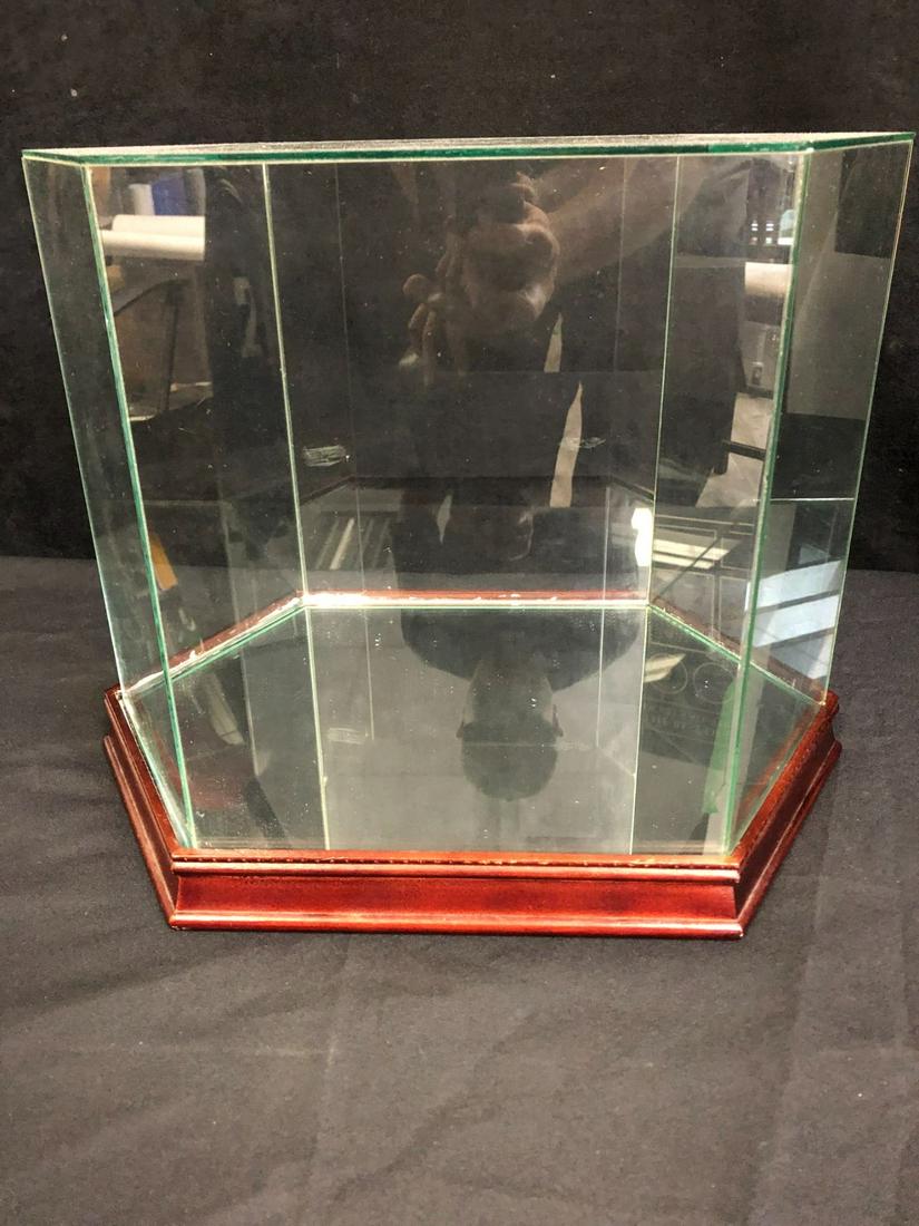 ACRYLIC DISPLAY CASE (1 of 1)