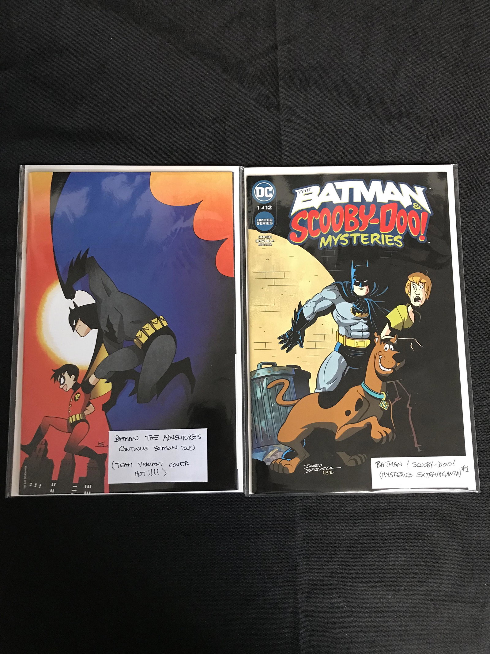 BATMAN THE ADVENTURES CONTINUE SEASON TWO/ BATMAN & (1 of 1)