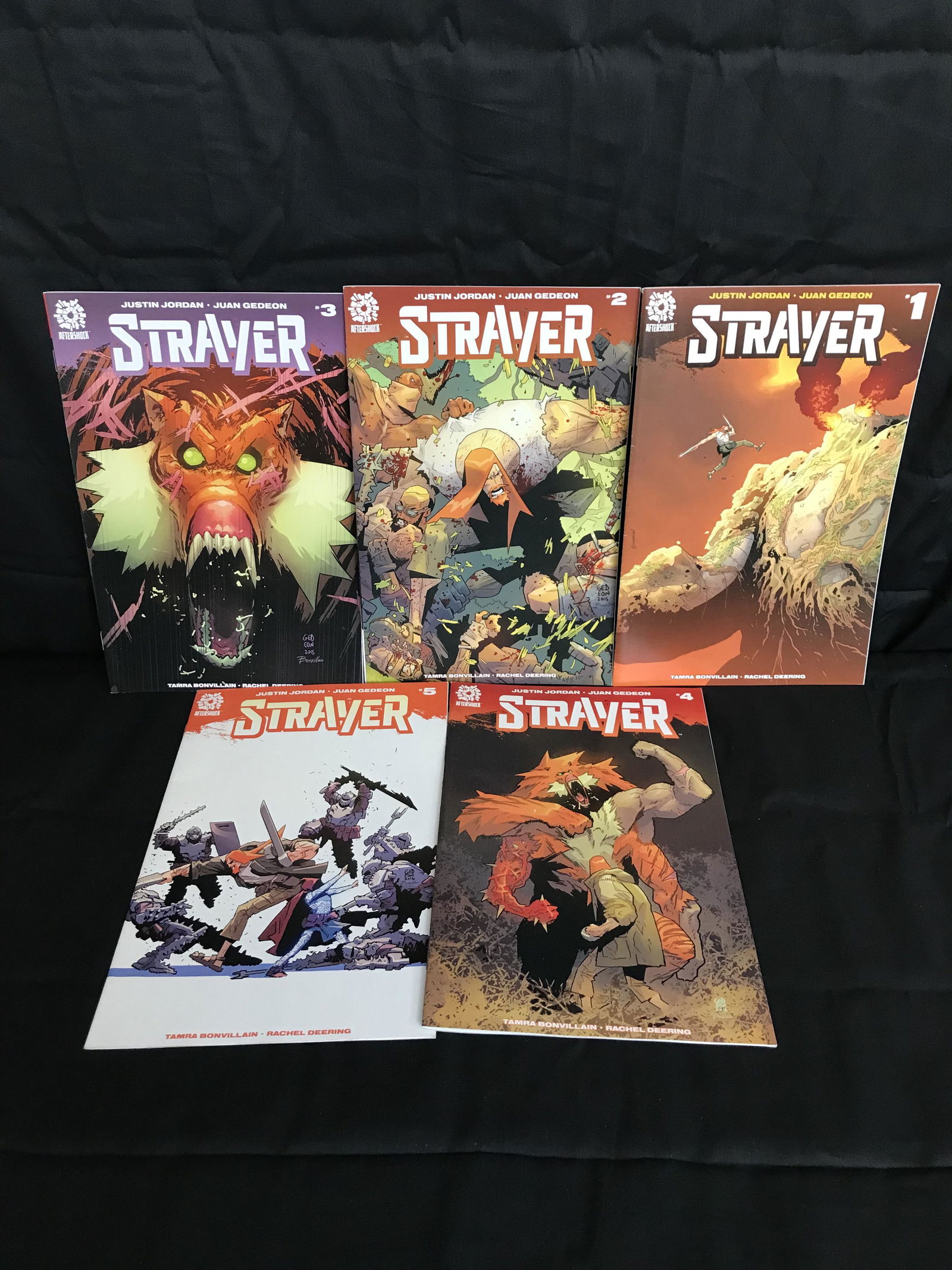 STRAYER COMIC BOOK SERIES 1-5 (1 of 1)