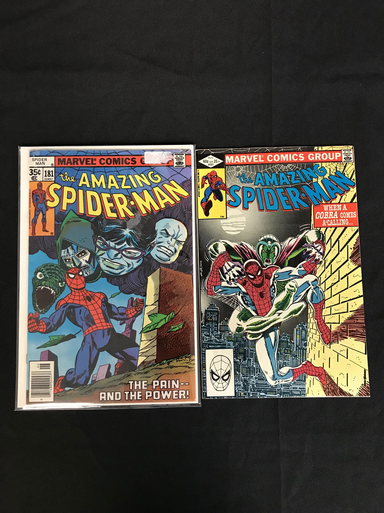 VARIOUS SPIDER-MAN COMIC BOOK LOT (1 of 1)