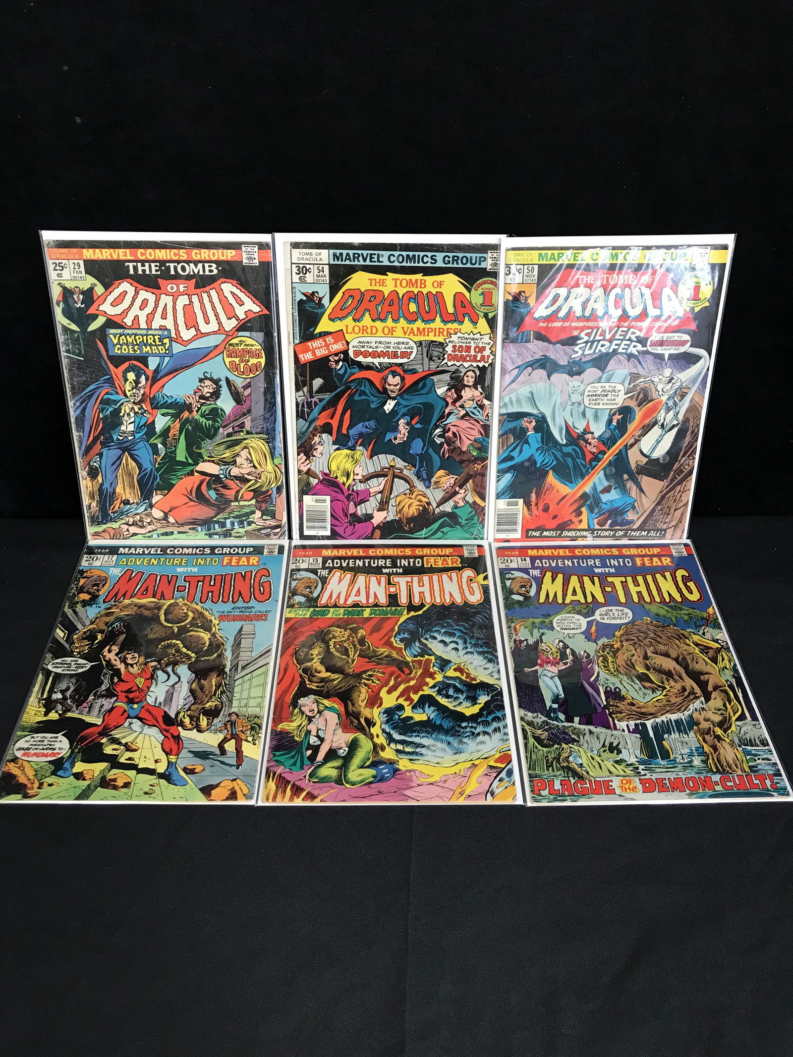 THE TOMB OF DRACULA/ THE MAN-THING COMIC BOOK LOT (1 of 1)