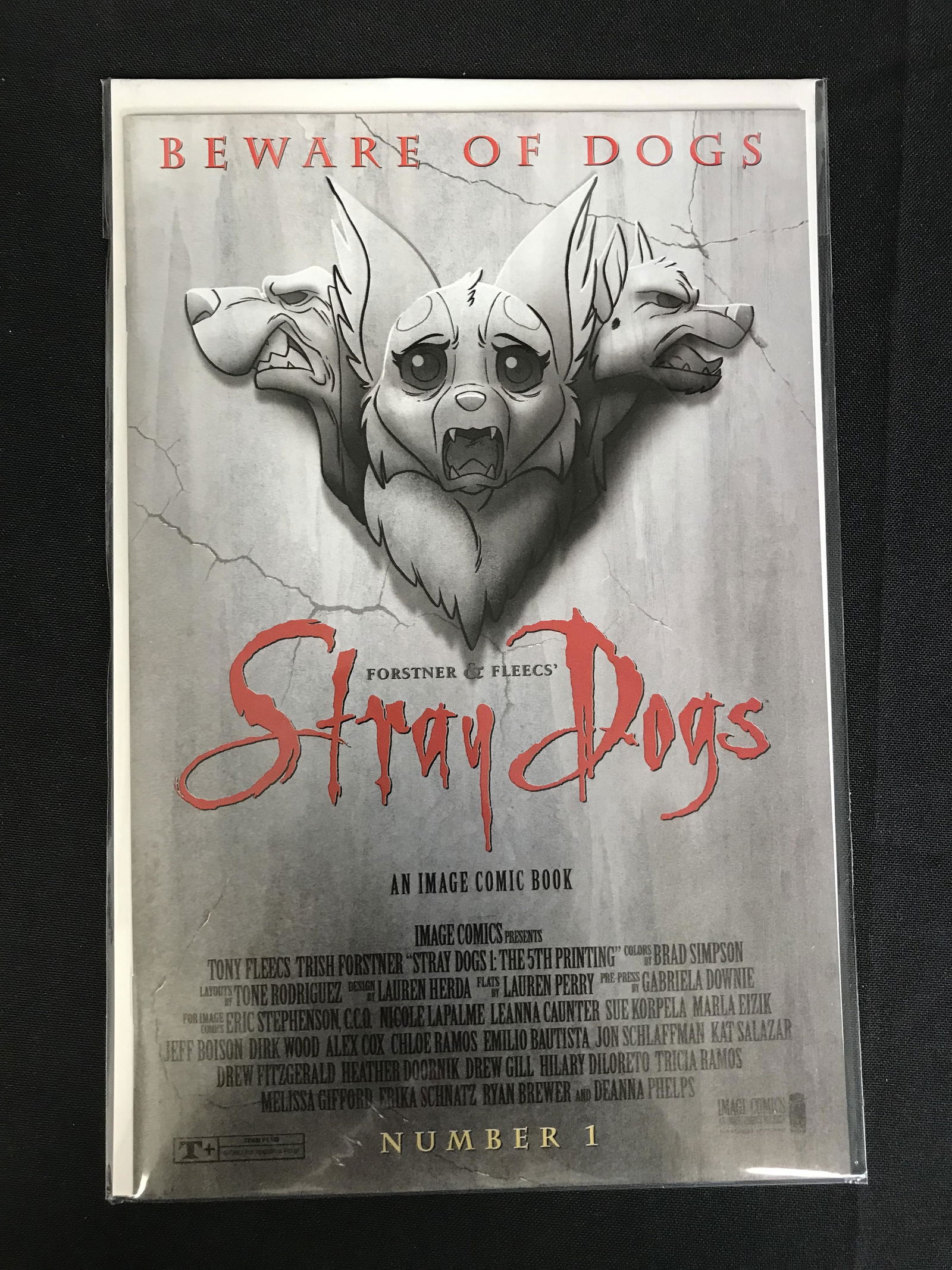 STRAY DOGS #1 (IMAGE COMIC BOOK) (1 of 1)