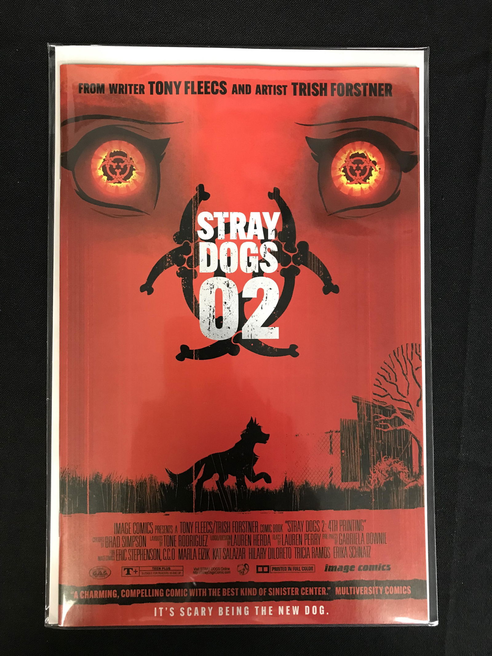 STRAY DOGS 02 (IMAGE COMICS) (1 of 1)