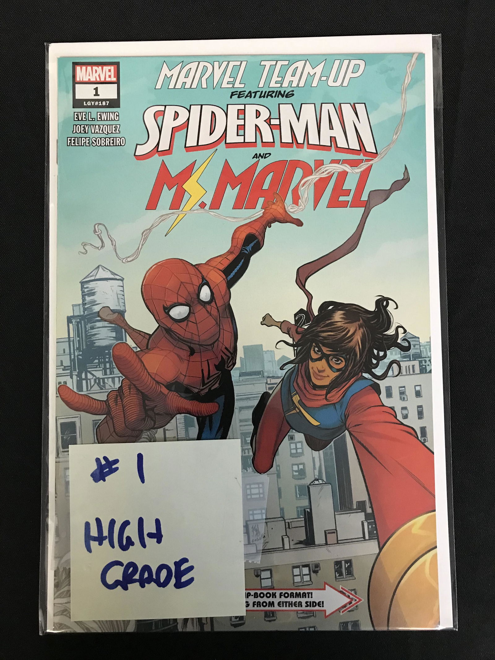 MARVEL TEAM-UP FT. SPIDER-MAN AND MS. MARVEL #1 (MARVEL (1 of 1)