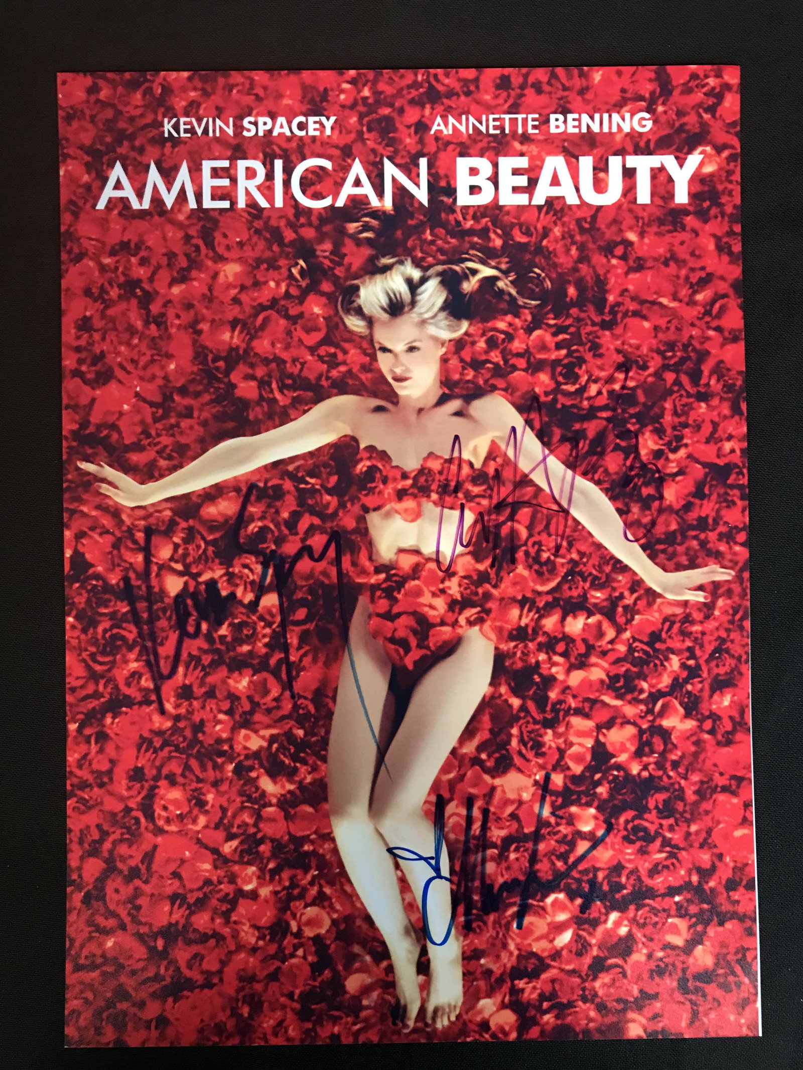 AMERICA BEAUTY CAST SIGEND 8 X 10 (RA COA): AMERICA BEAUTY CAST SIGEND 8 X 10 (RA COA)