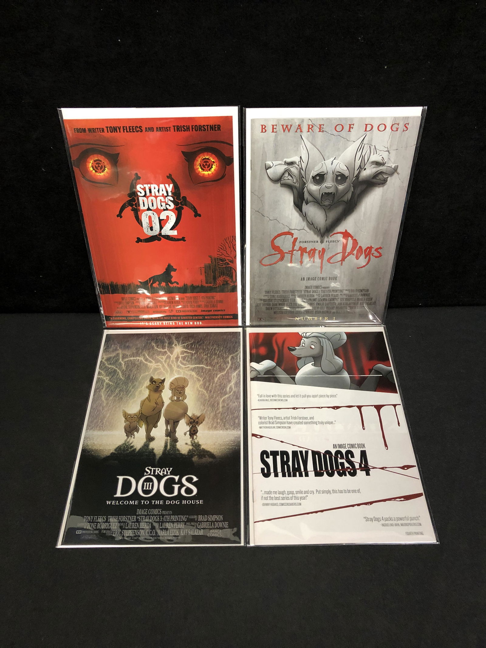 STRAY DOGS COMIC BOOK LOT (1 of 1)