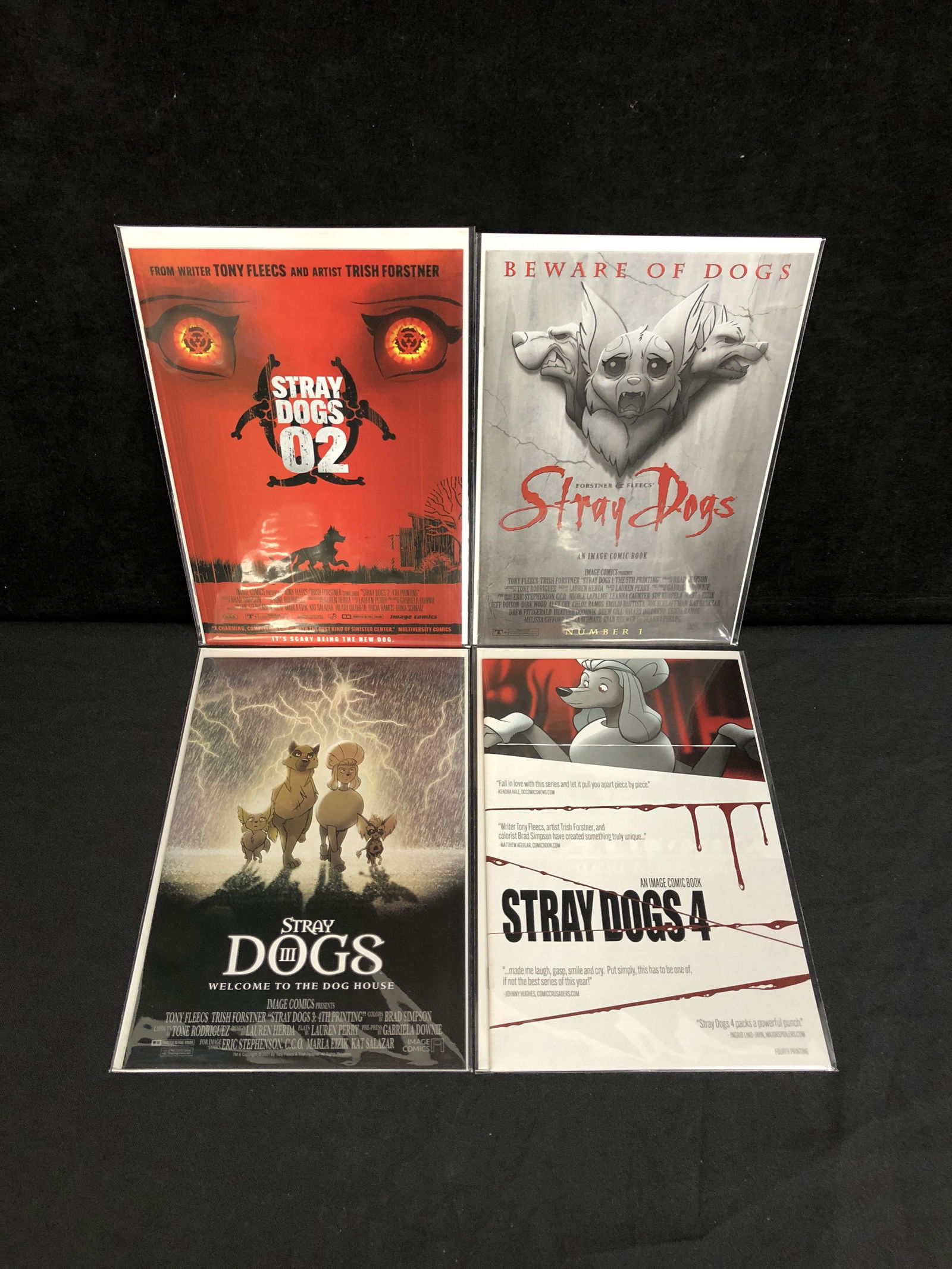 STRAY DOGS COMIC BOOK LOT (1 of 1)