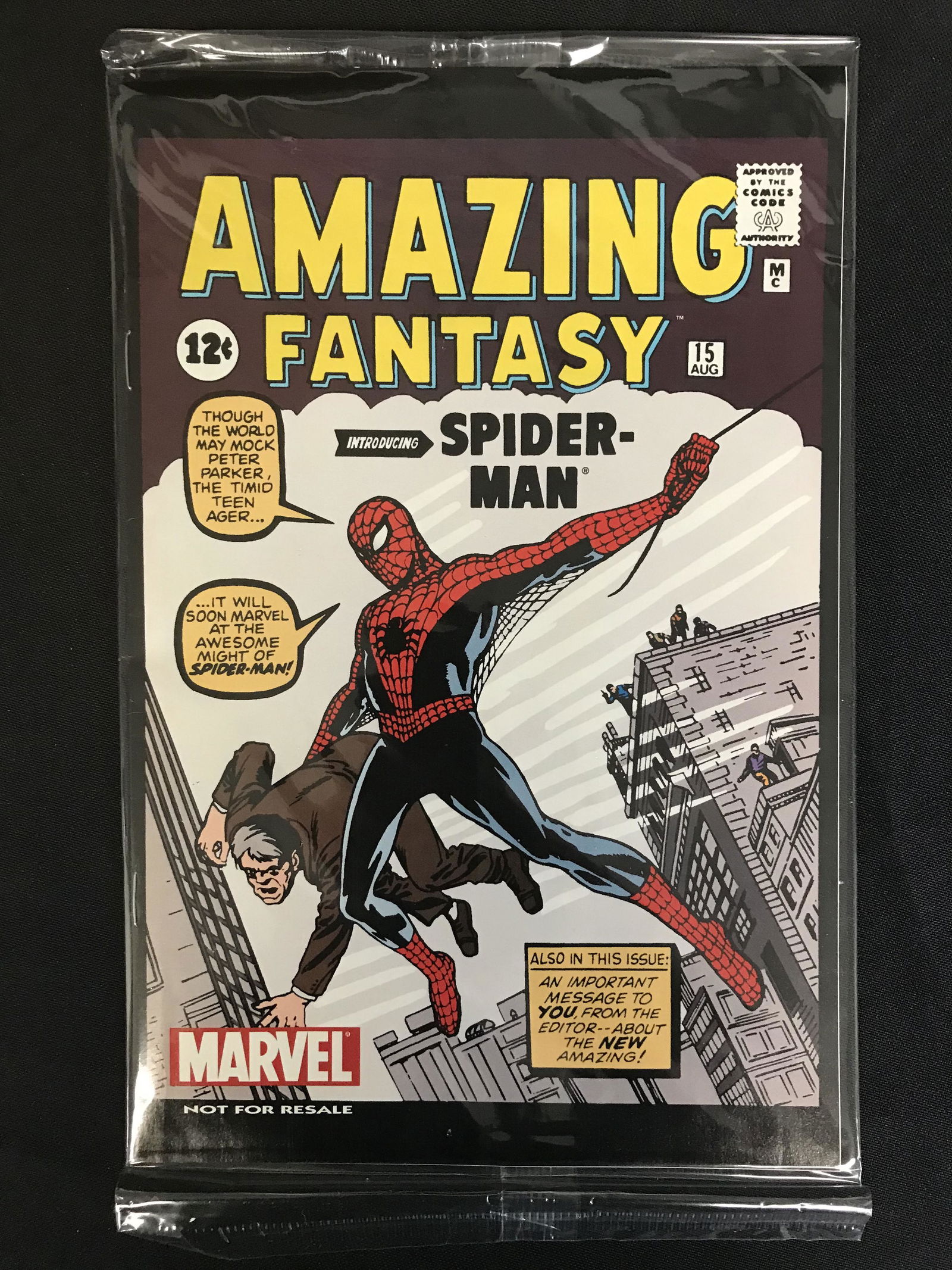 AMAZING FANTASY #15 (MARVEL COMICS) (1 of 1)