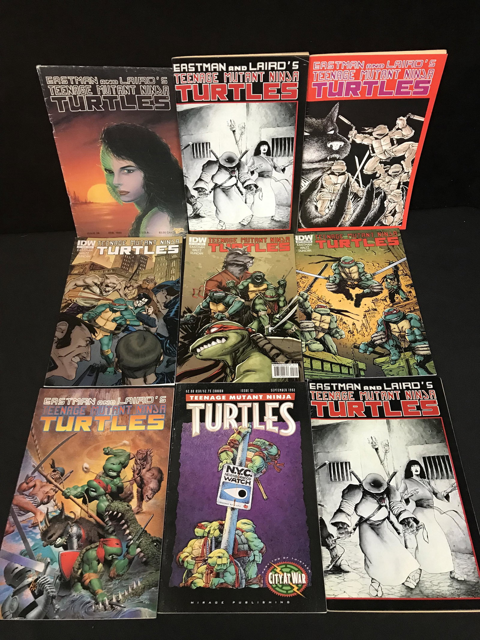 TEENAGE MUTANT NINJA TURTLES COMIC BOOK LOT (IDW) (1 of 1)