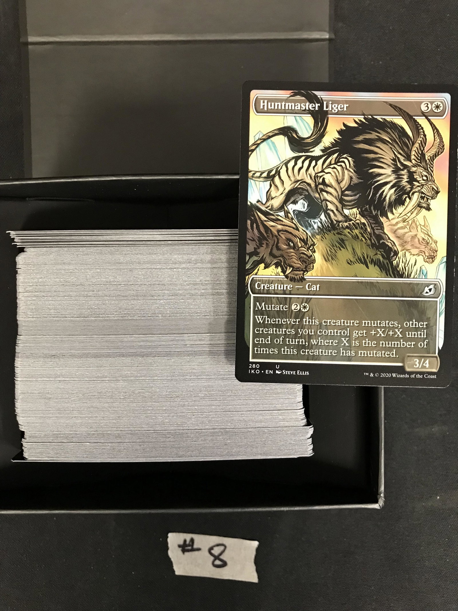 MAGIC THE GATHERING CARD LOT: MAGIC THE GATHERING CARD LOT