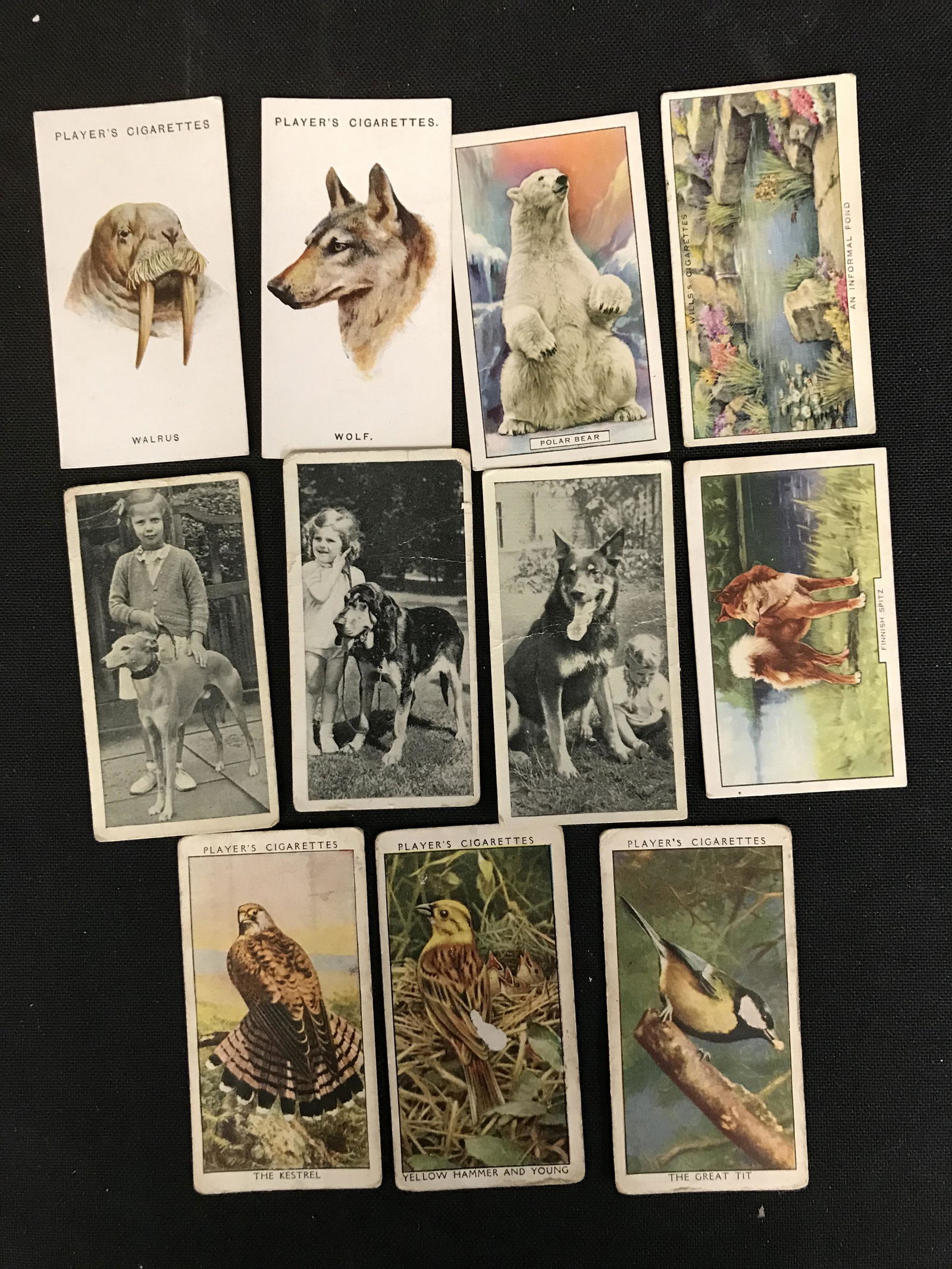 VINTAGE CIGARETTE CARD LOT (1 of 1)
