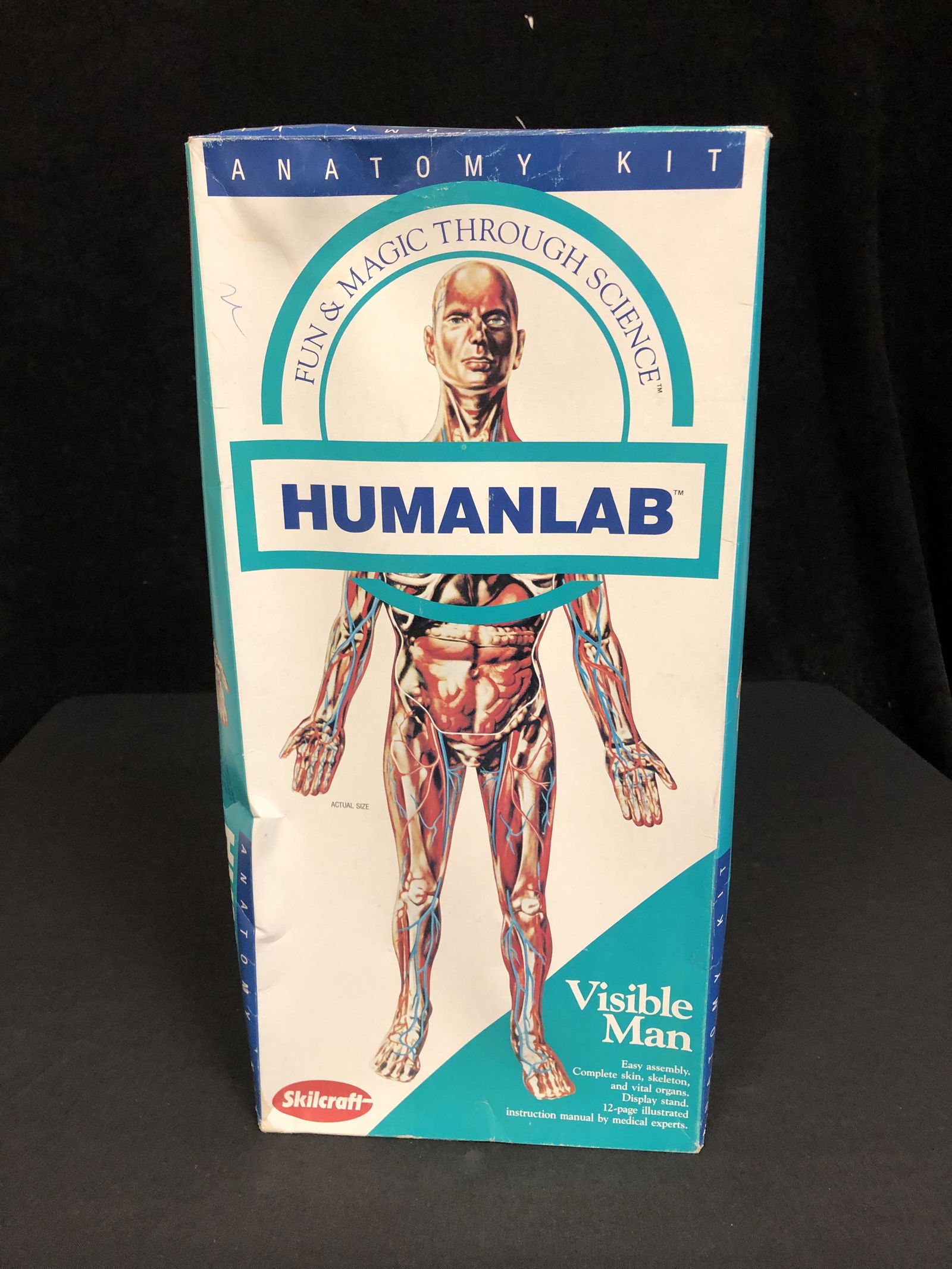 Skilcraft Visible Woman Anatomy Kit