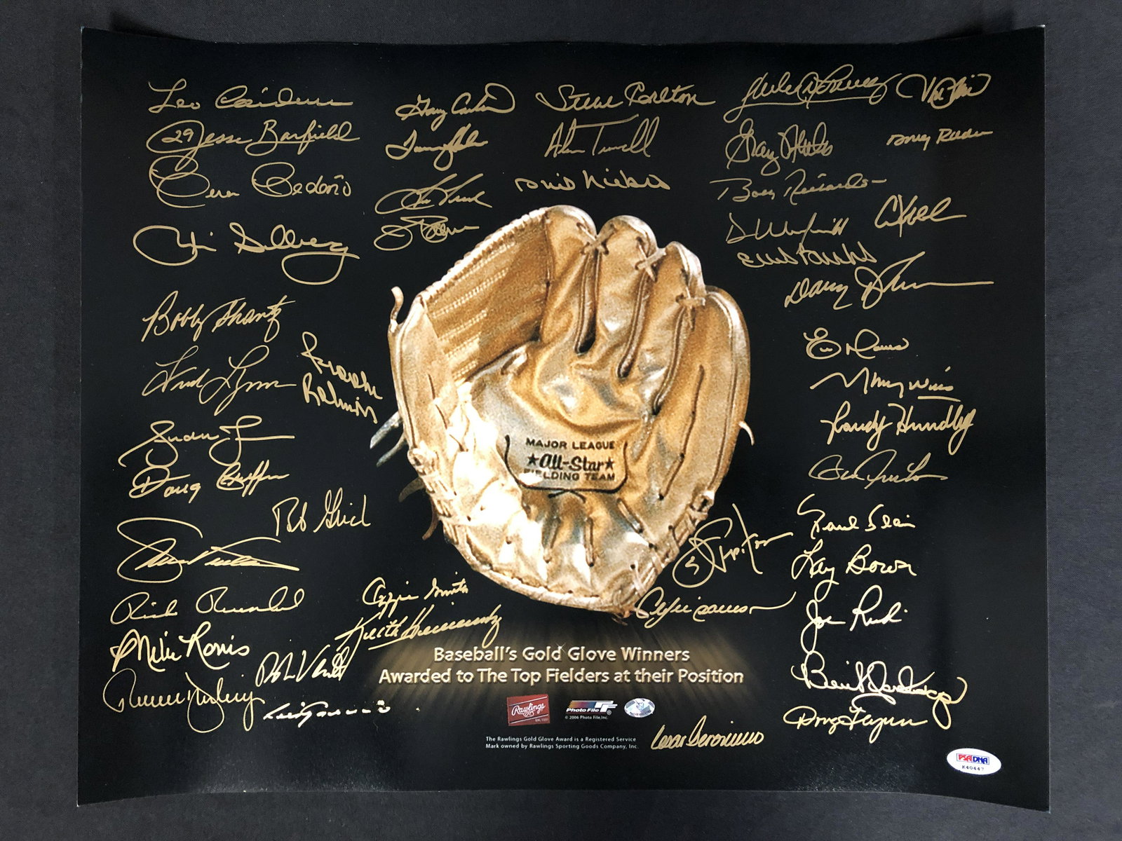 16 X 20 MLB GOLD GLOVE WINNERS SIGNED BY 45 (SMITH, DAWSON,WINFIELD, PALMER...) PSA LOA (1 of 4)