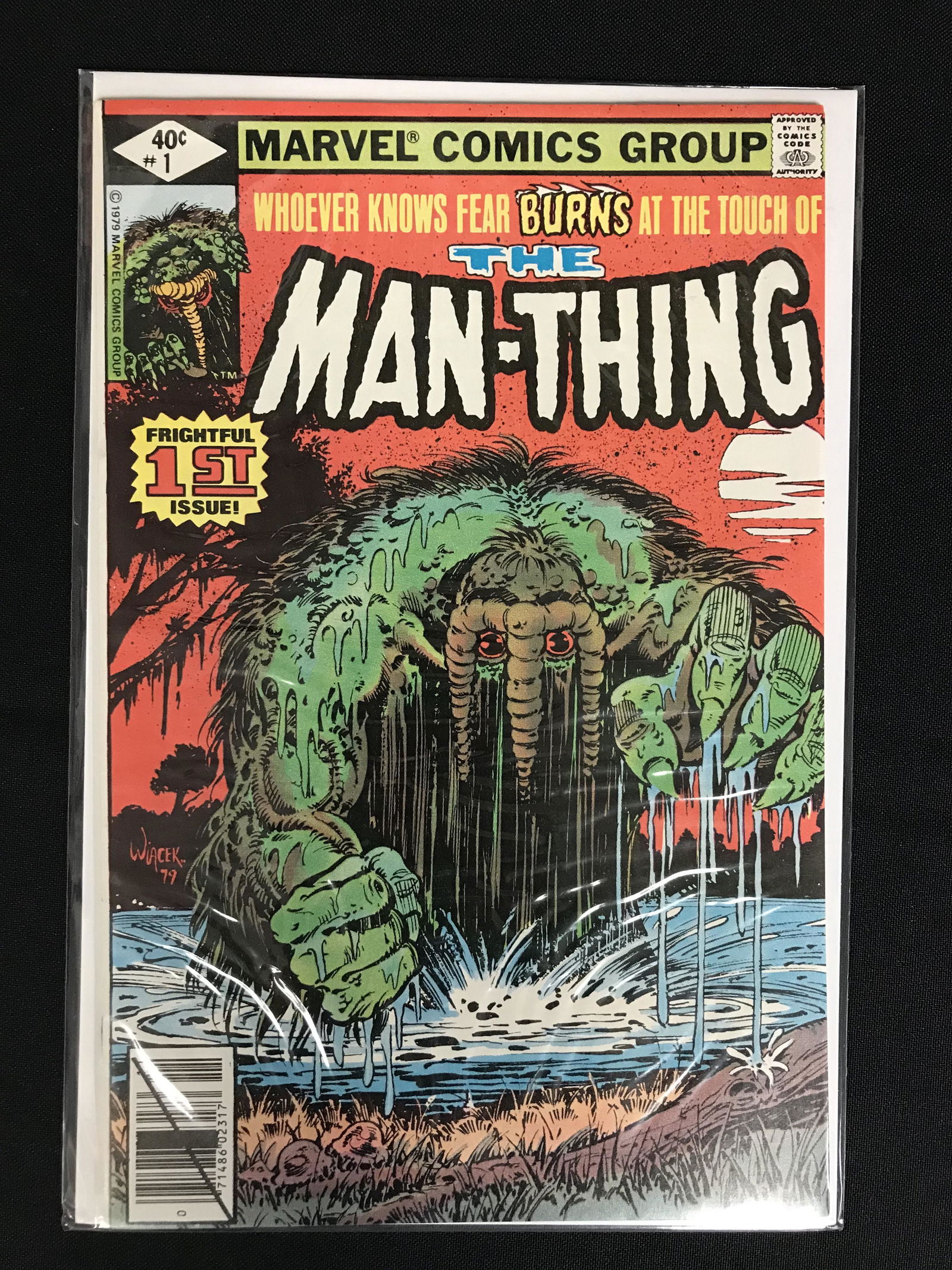THE MAN-THING NO.1 (MARVEL COMICS) (1 of 1)
