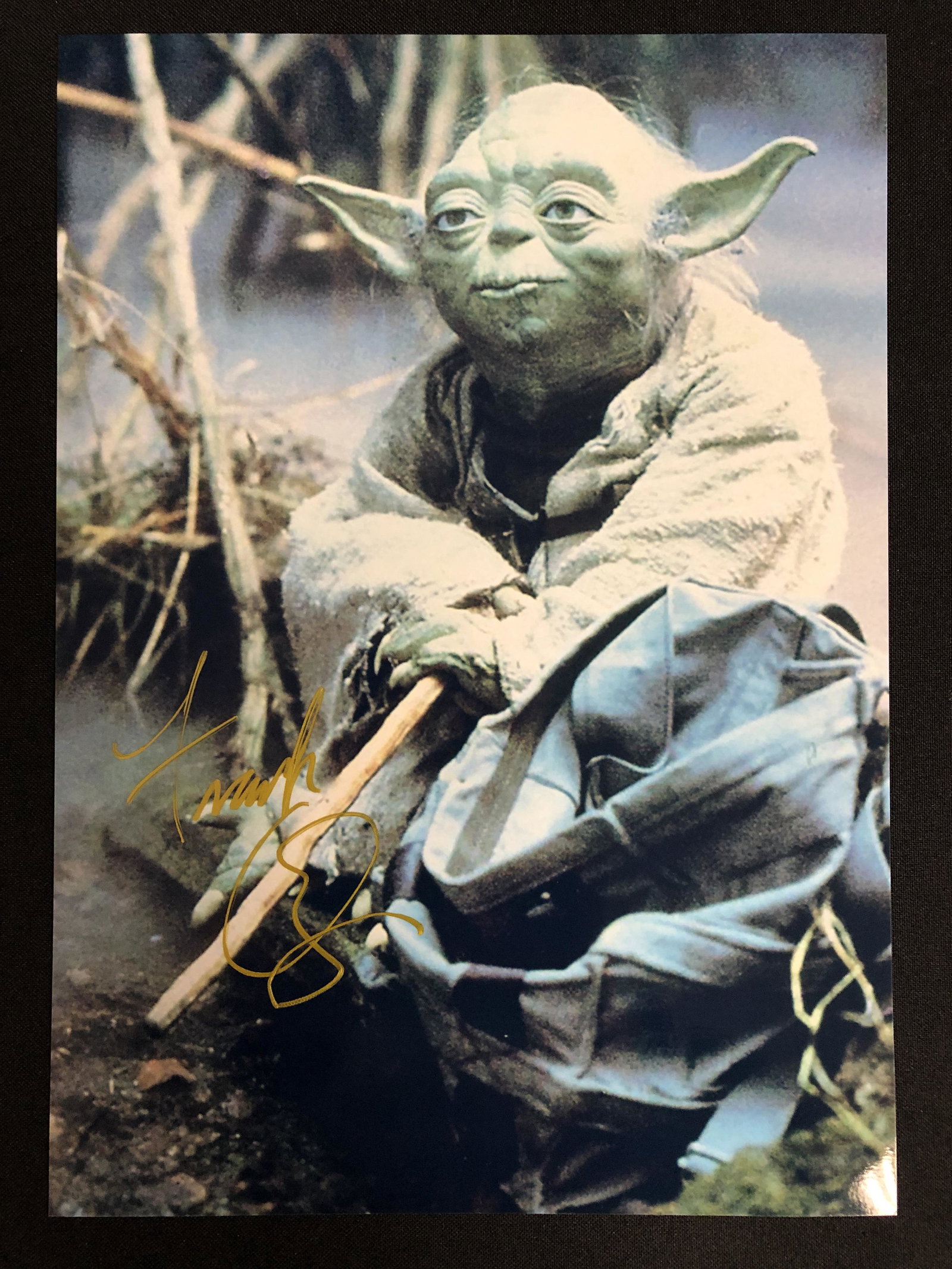 FRANK OZ SIGNED 8X10 YODA PHOTO (RA COA) (1 of 3)
