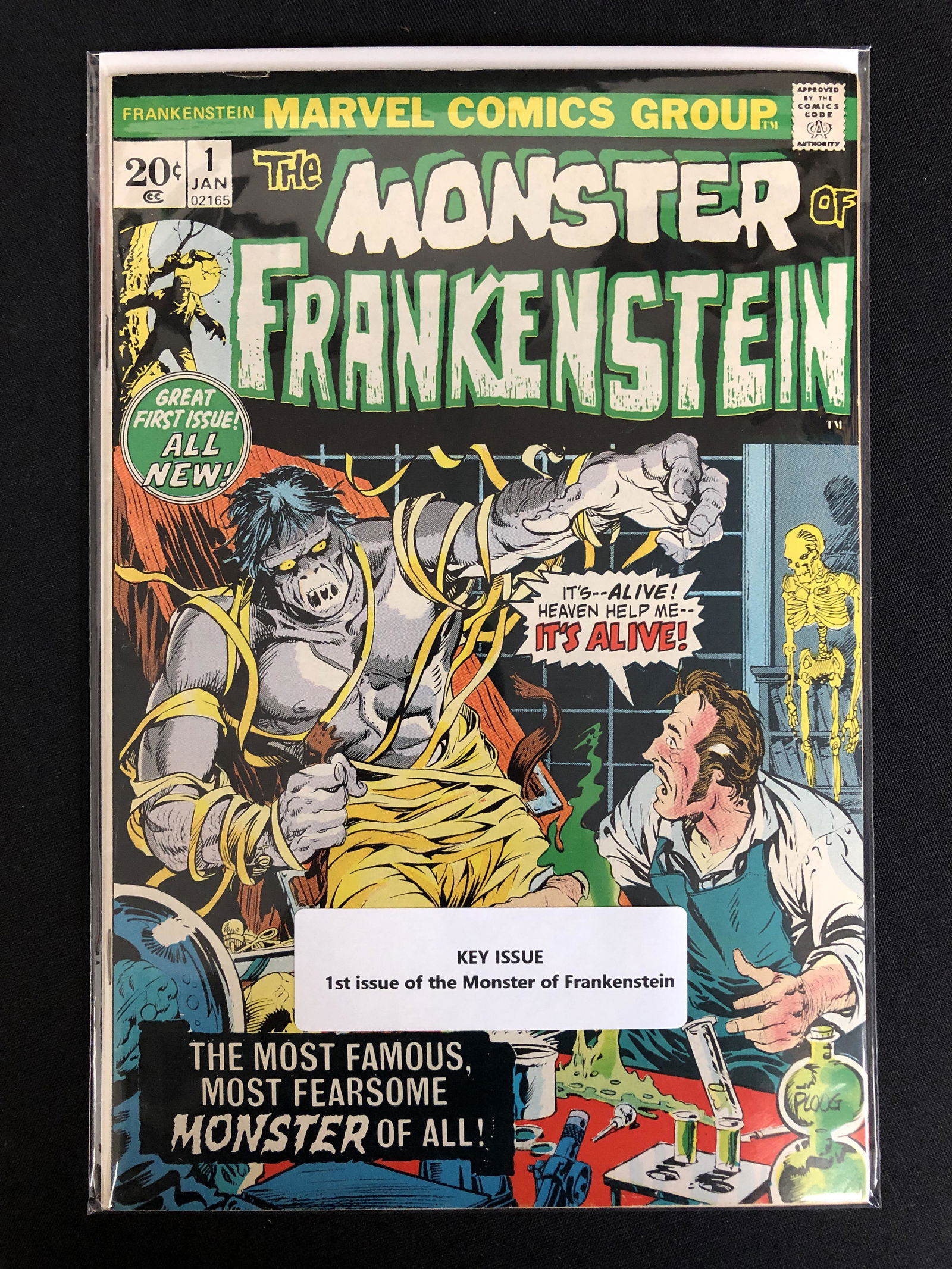 THE MONSTER OF FRANKENSTEIN NO.1 (MARVEL COMICS) (1 of 1)