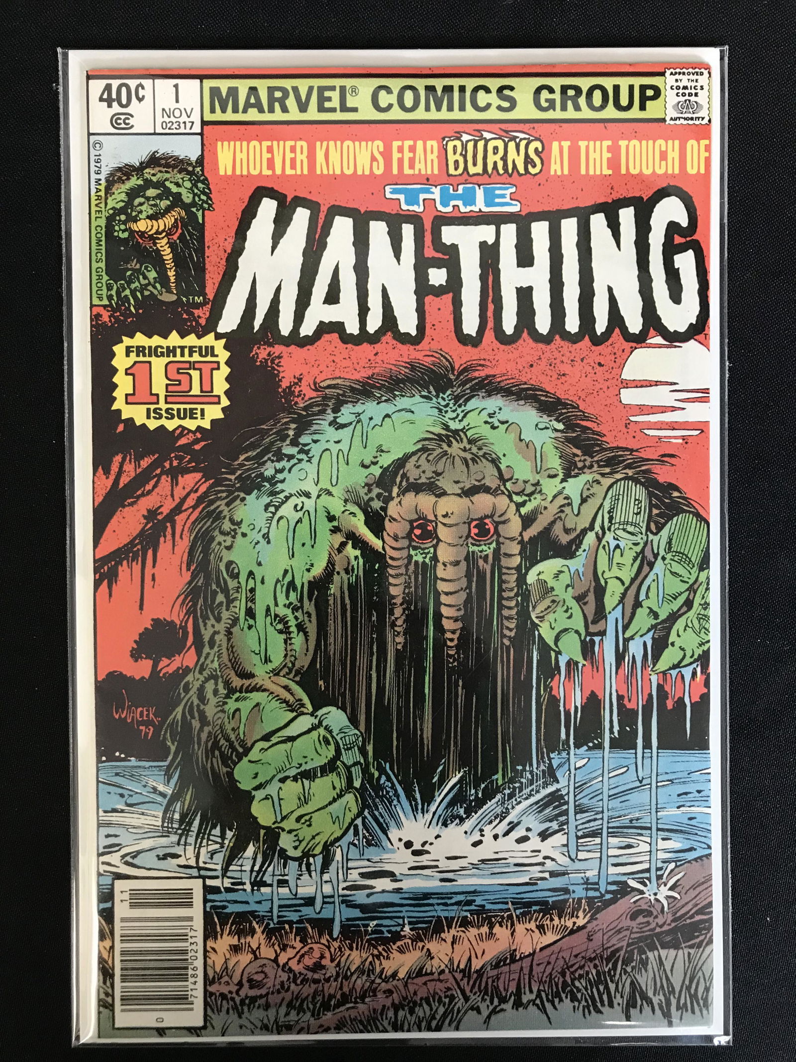 THE MAN-THING NO.1 (MARVEL COMICS) (1 of 1)